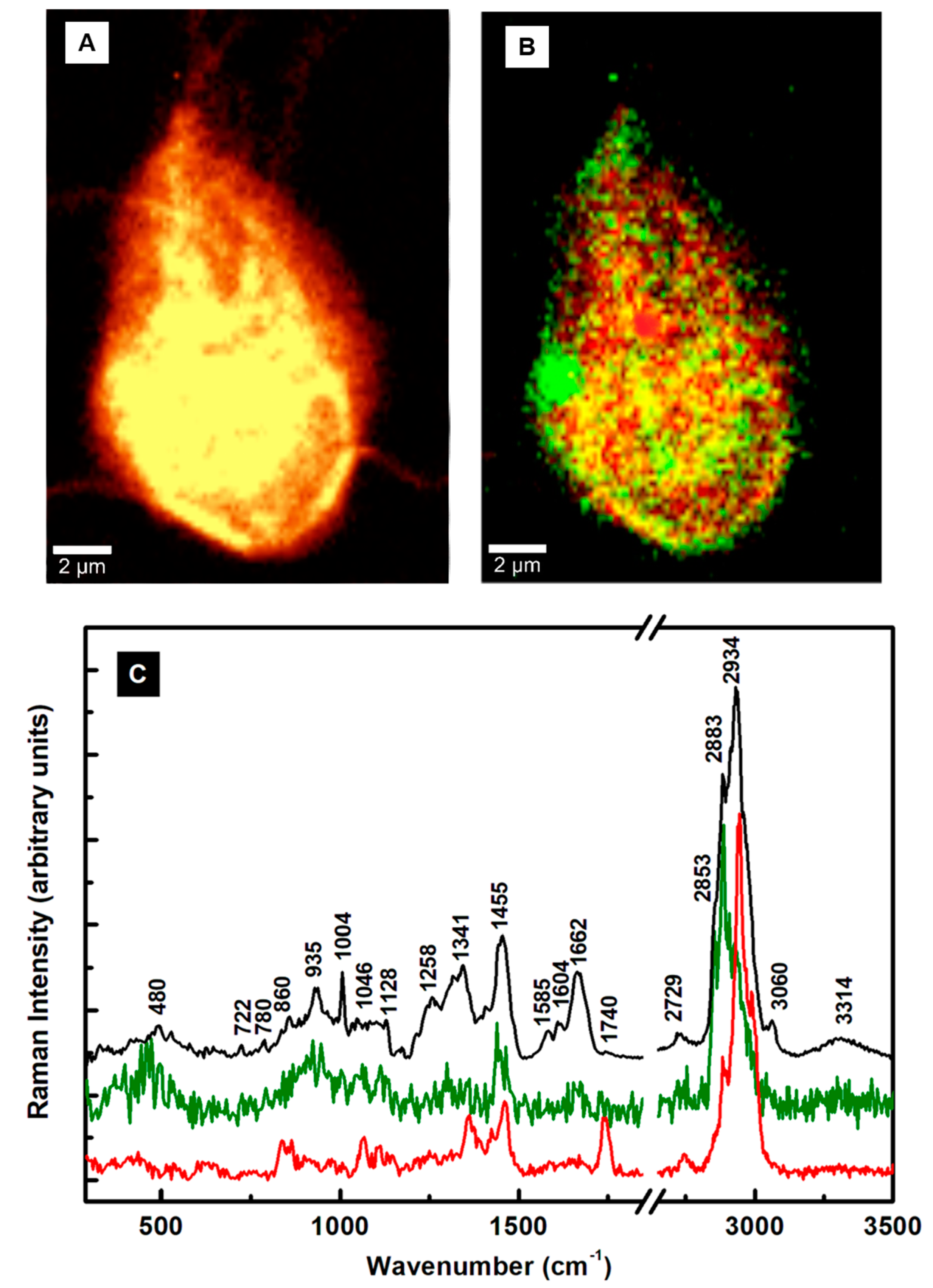 Pathogens 13 00358 g002 Pathogens 13 00358 g002