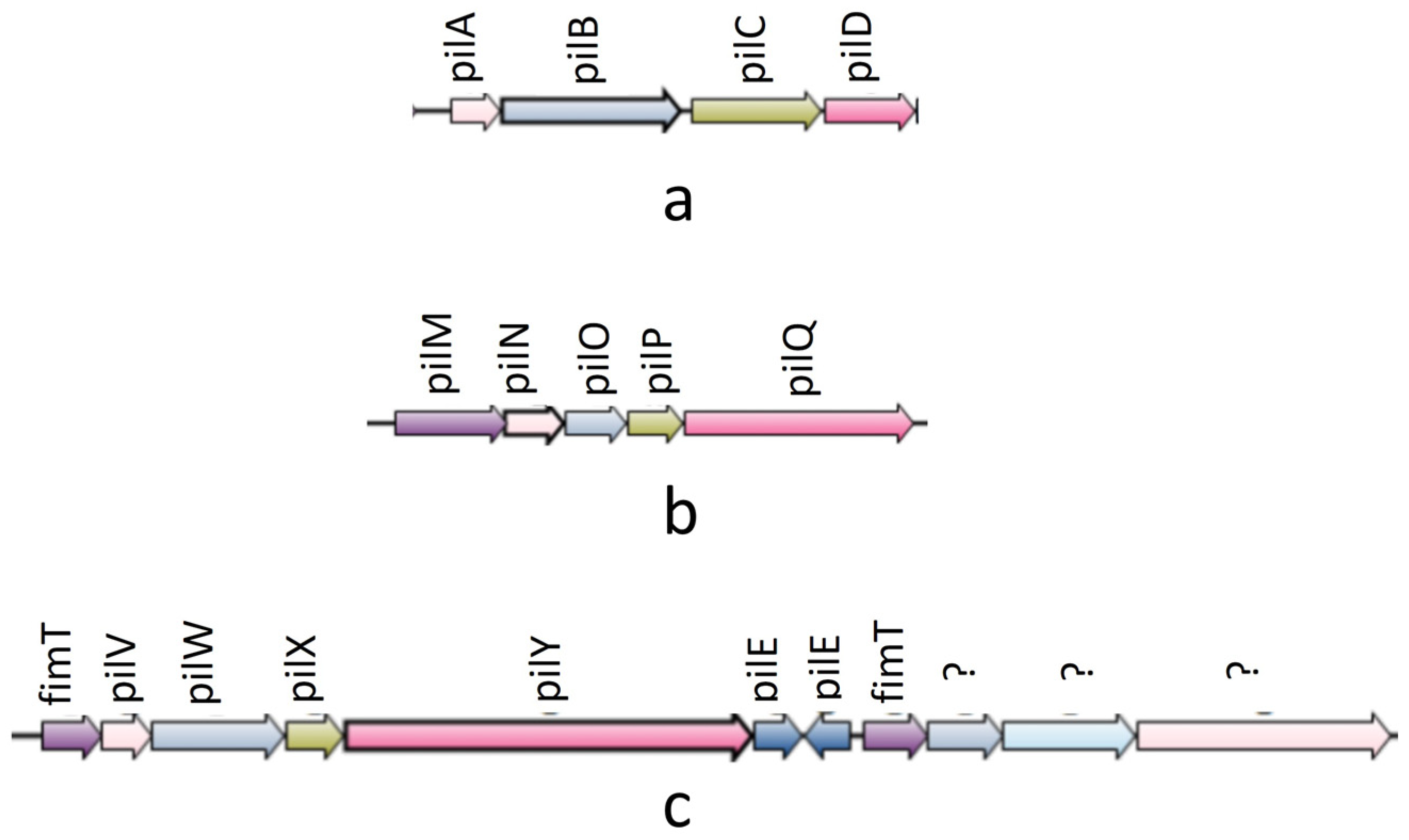 Pathogens 13 00365 g002 Pathogens 13 00365 g002