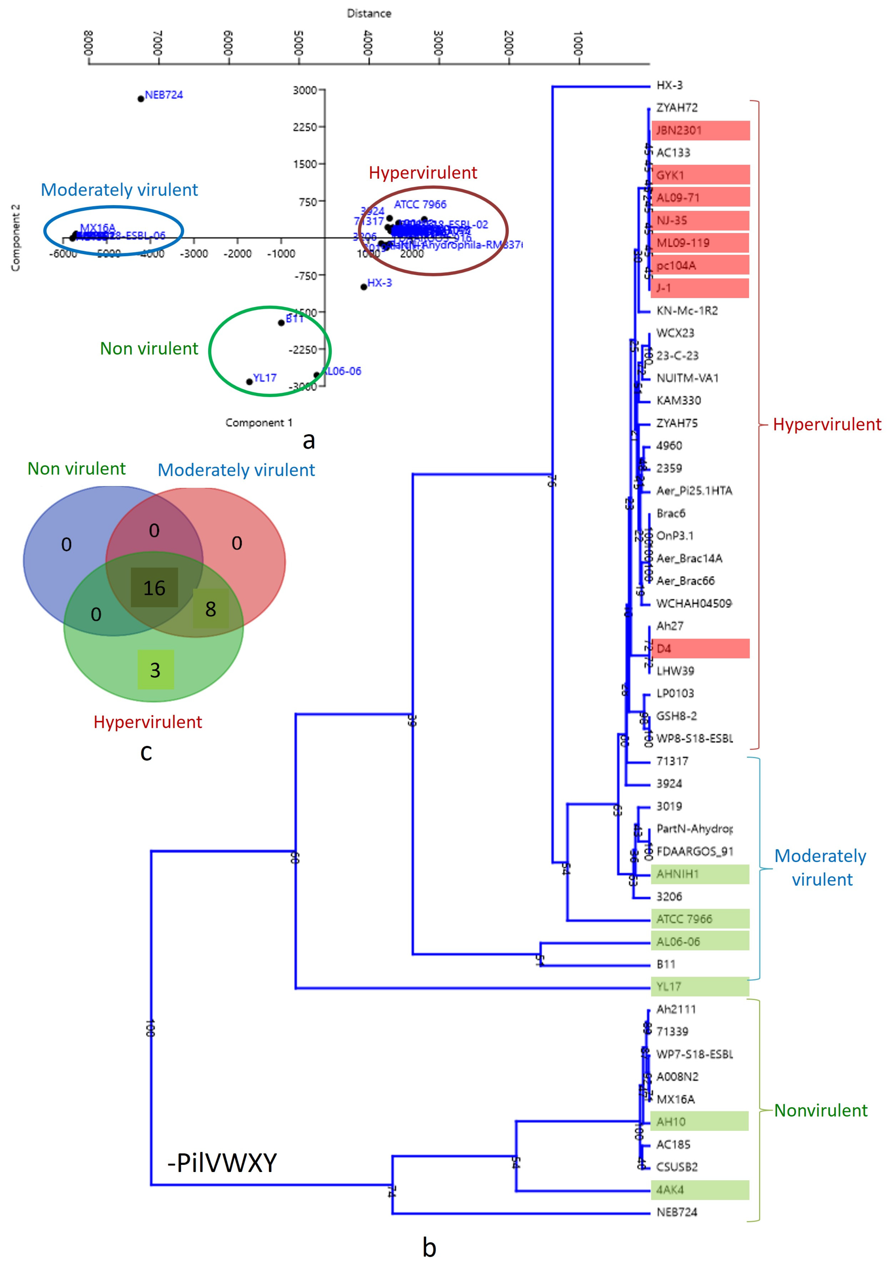 Pathogens 13 00365 g004 Pathogens 13 00365 g004