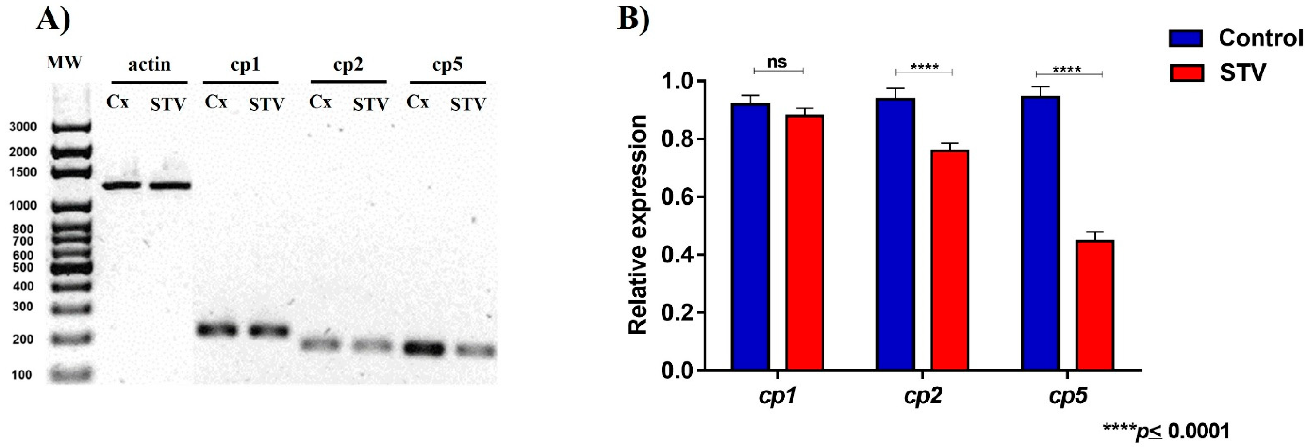 Pathogens 13 00373 g006