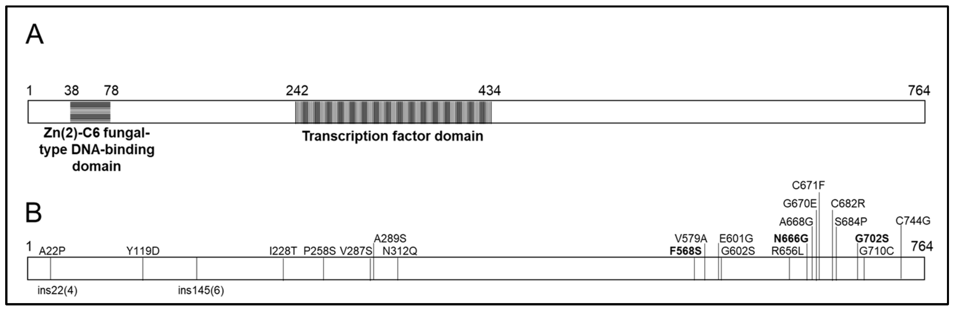 Pathogens 13 00374 g003