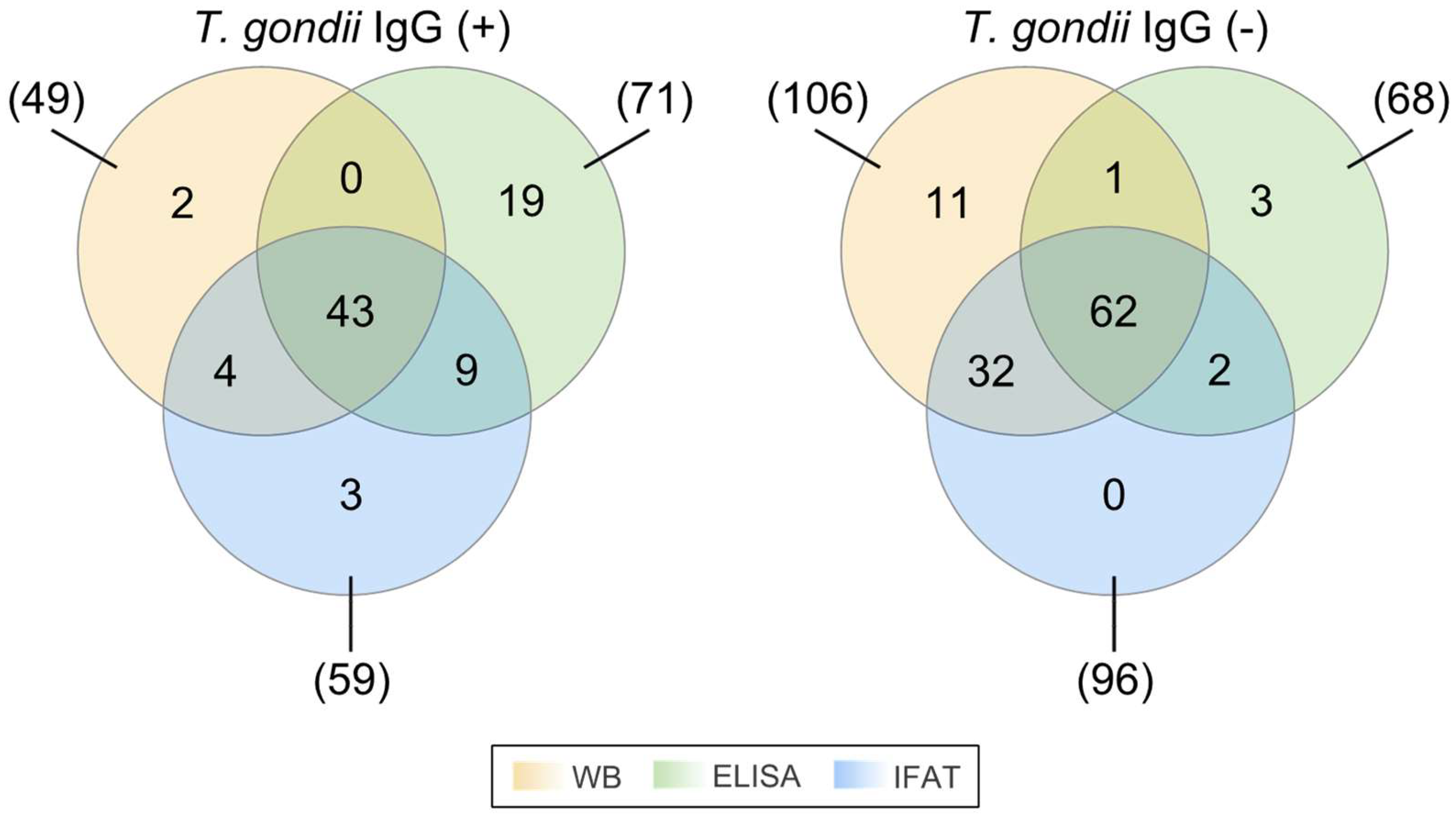 Pathogens 13 00375 g001