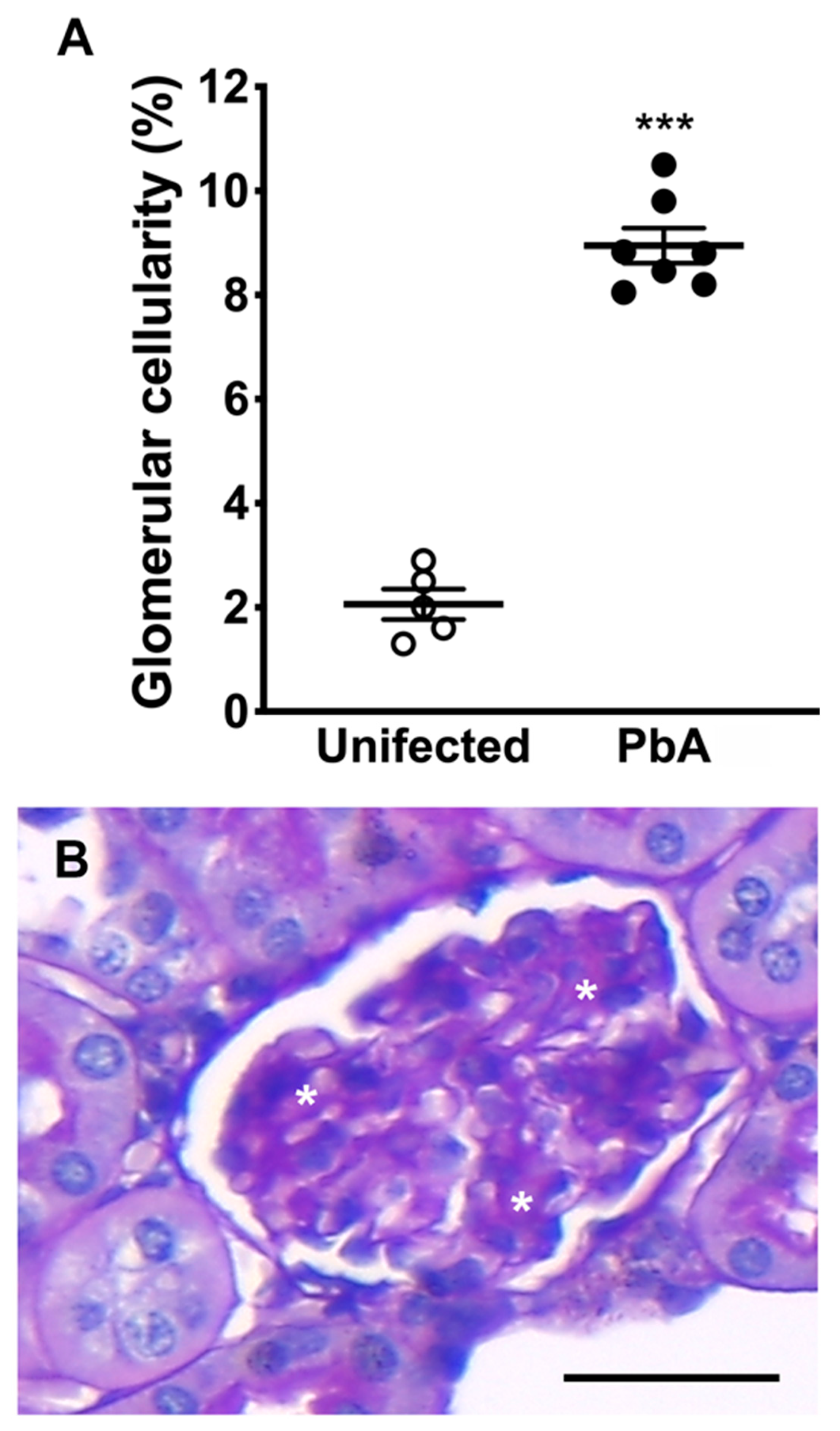 Pathogens 13 00376 g004