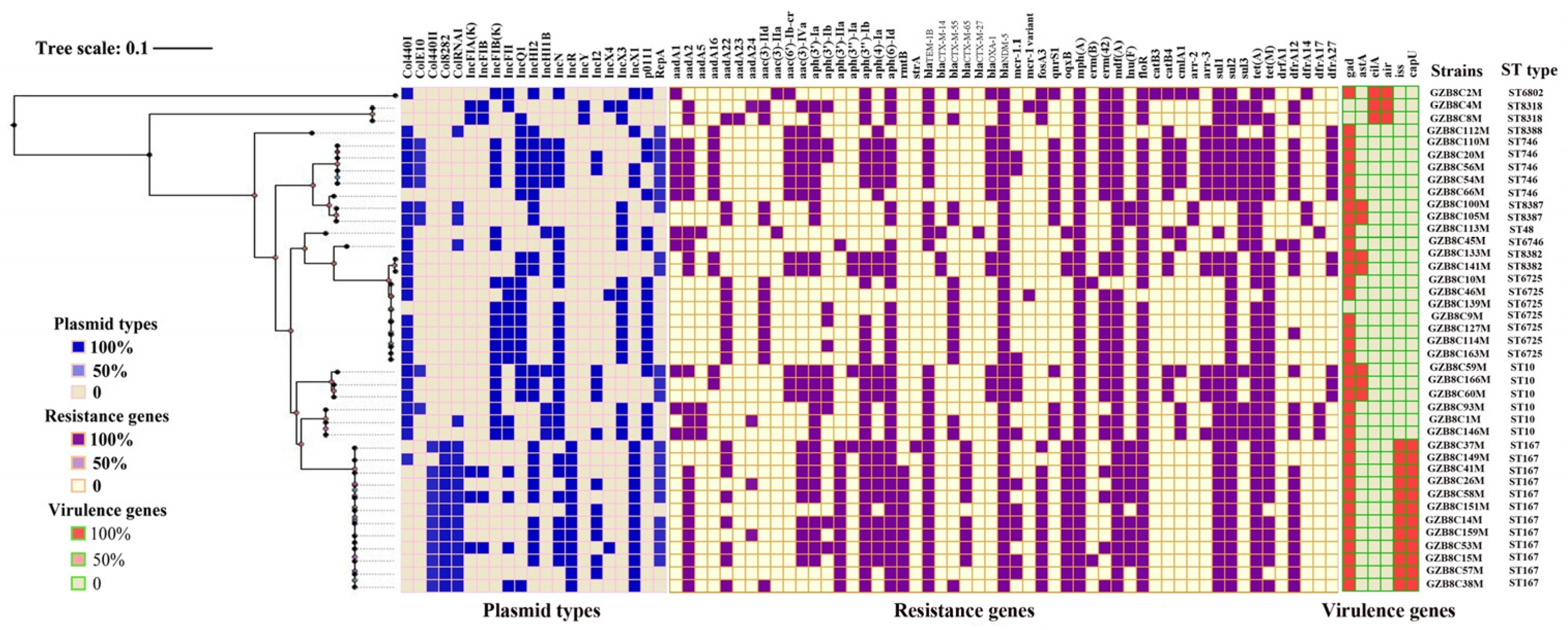 Pathogens 13 00387 g002