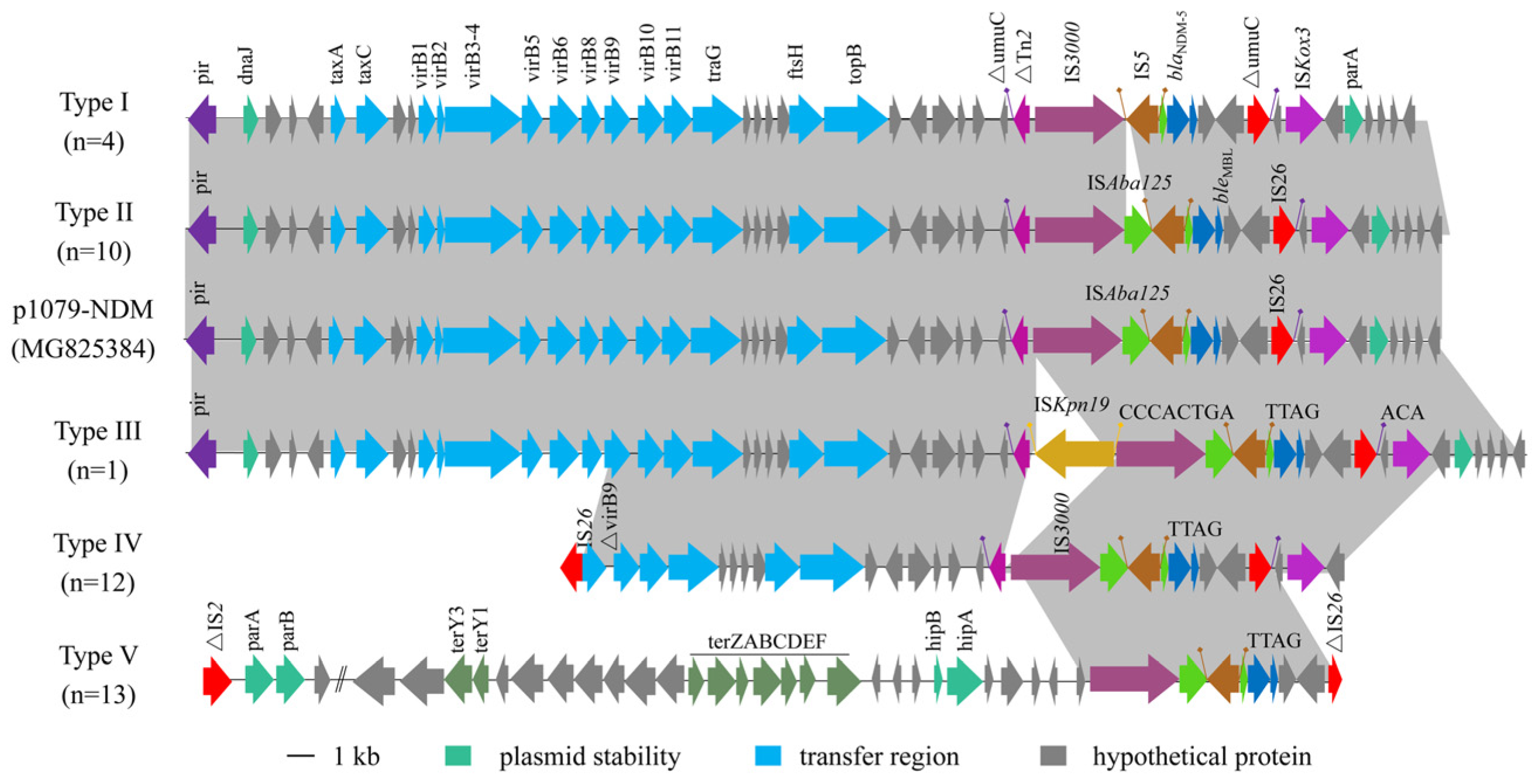 Pathogens 13 00387 g003