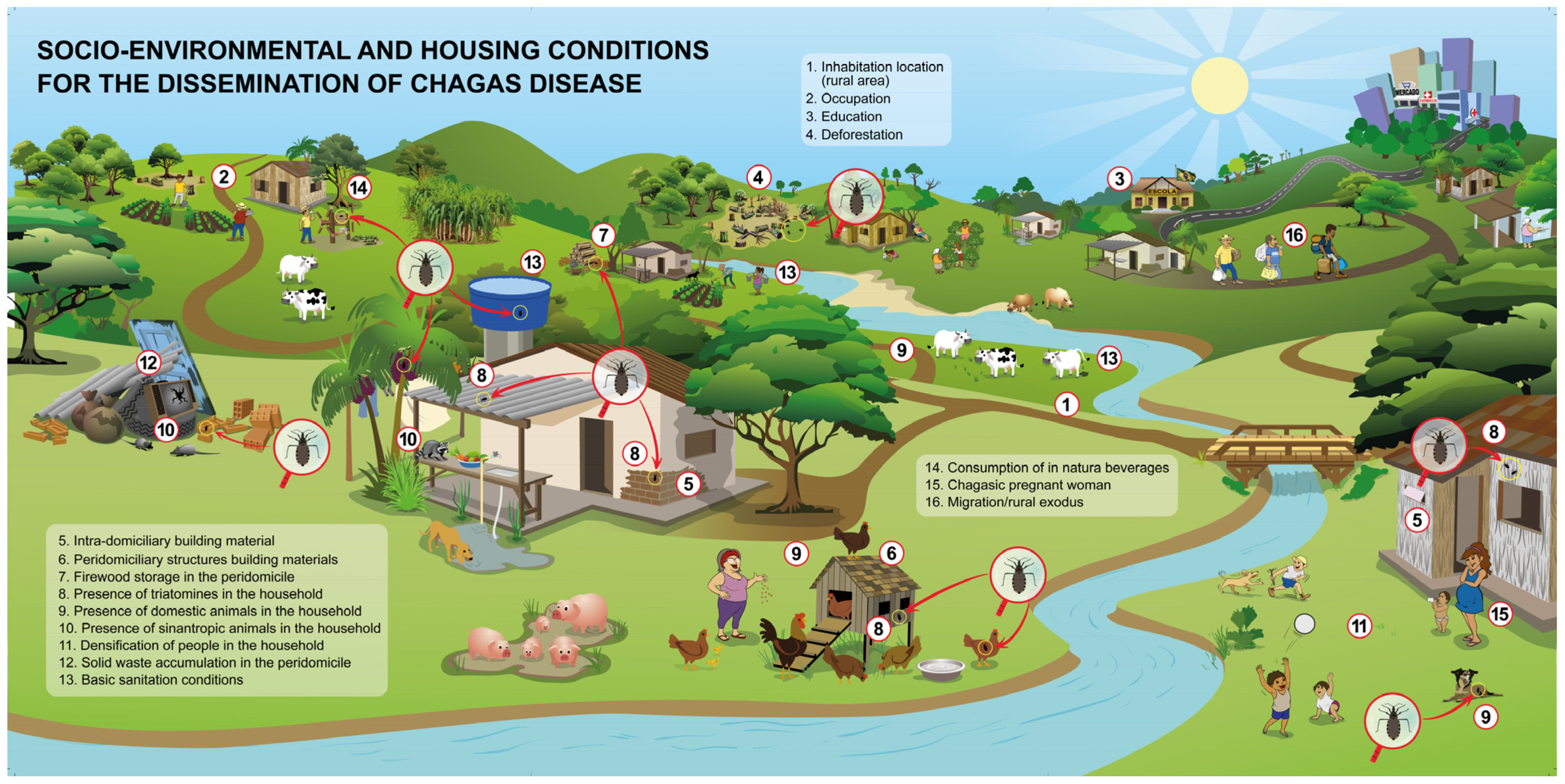 Pathogens 13 00394 g005 Pathogens 13 00394 g005
