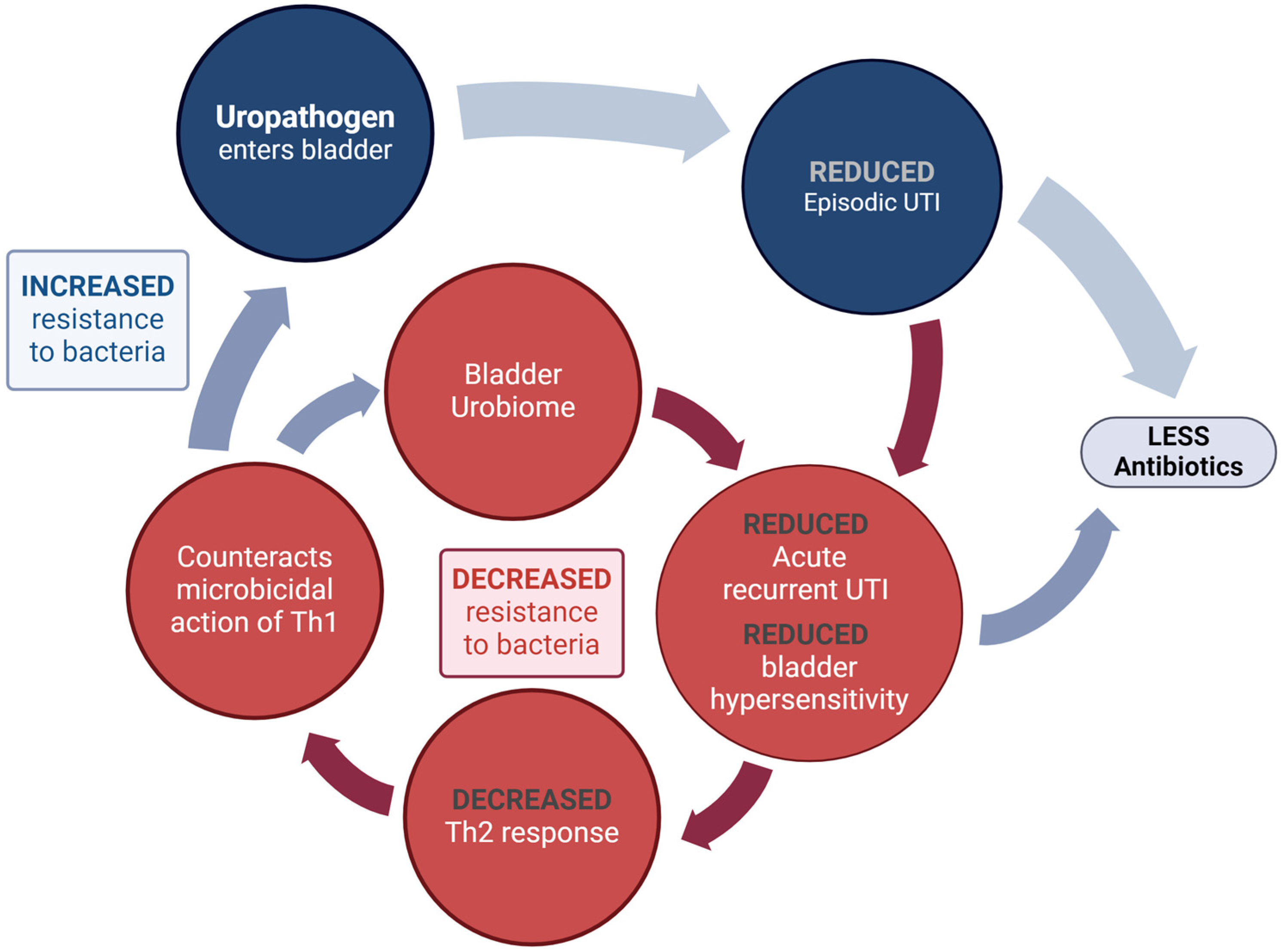 Pathogens 13 00396 g005