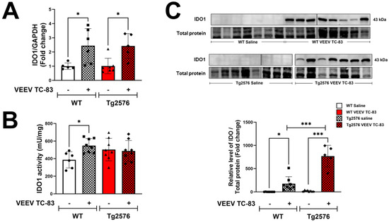 VEEV TC-83 Triggers Dysregulation of the TryptophanKynurenine Pathway in  the Central Nervous System That Correlates with Cognitive Impairment in  Tg2576 Mice