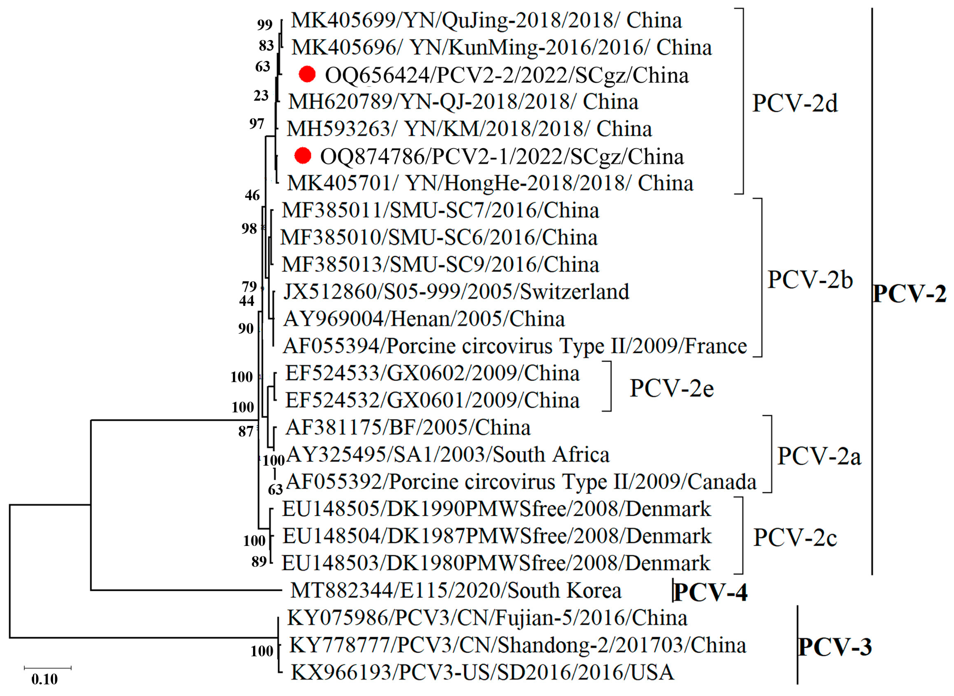 Pathogens 13 00404 g003
