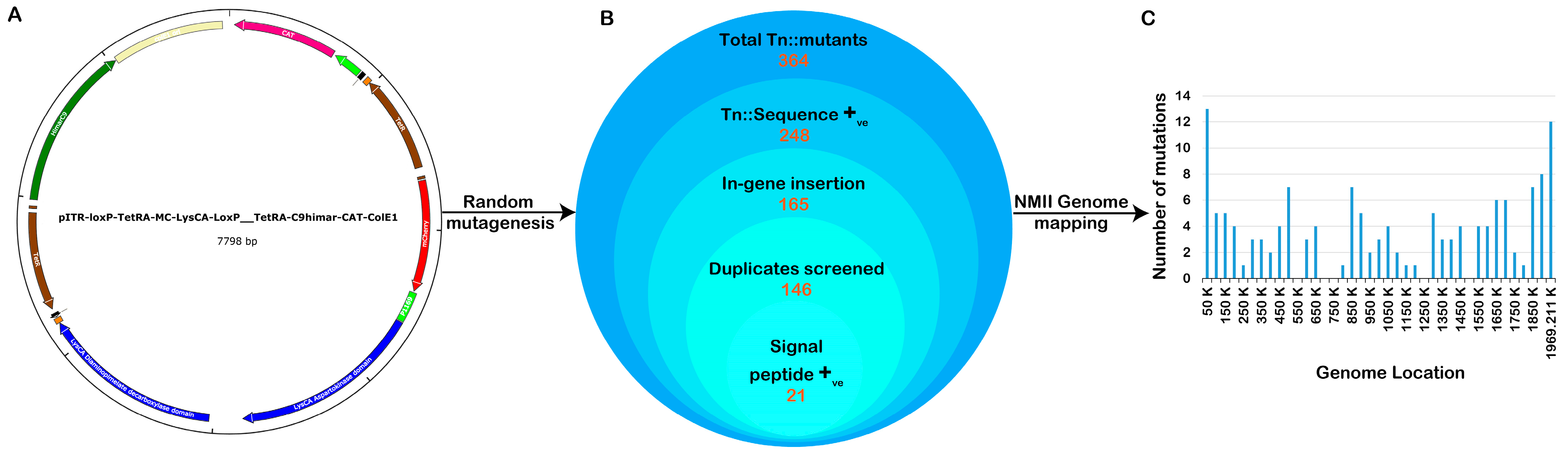 Pathogens 13 00405 g001