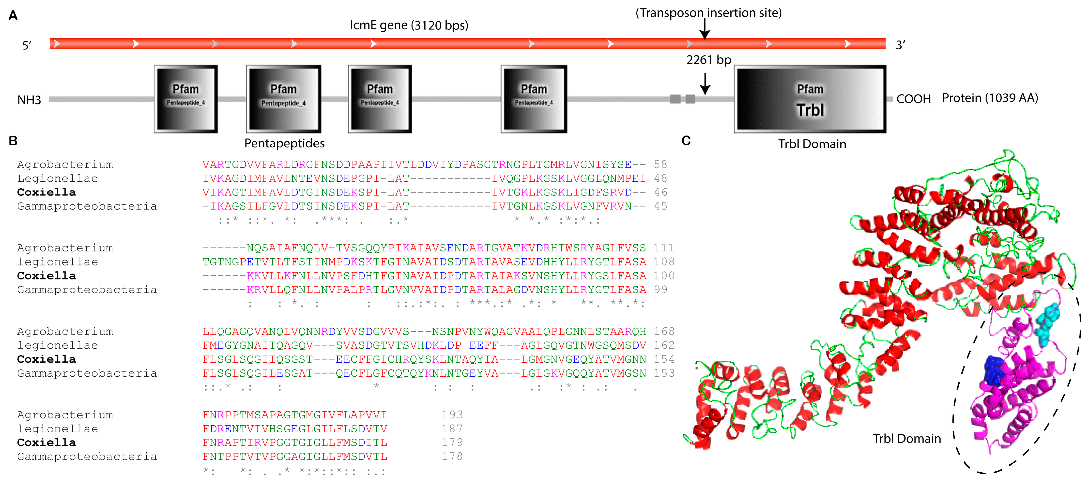 Pathogens 13 00405 g002