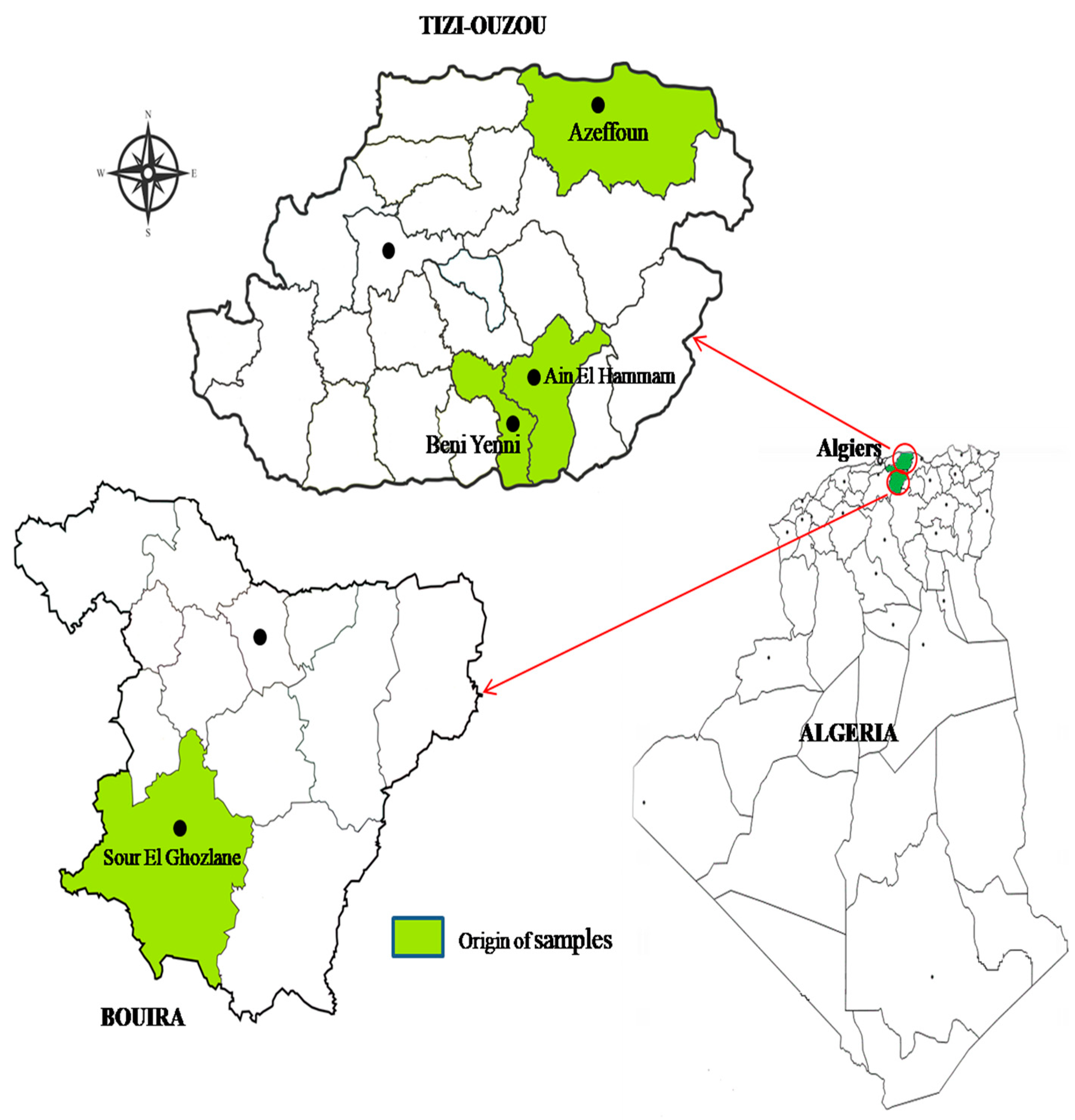 Pathogens 13 00408 g001