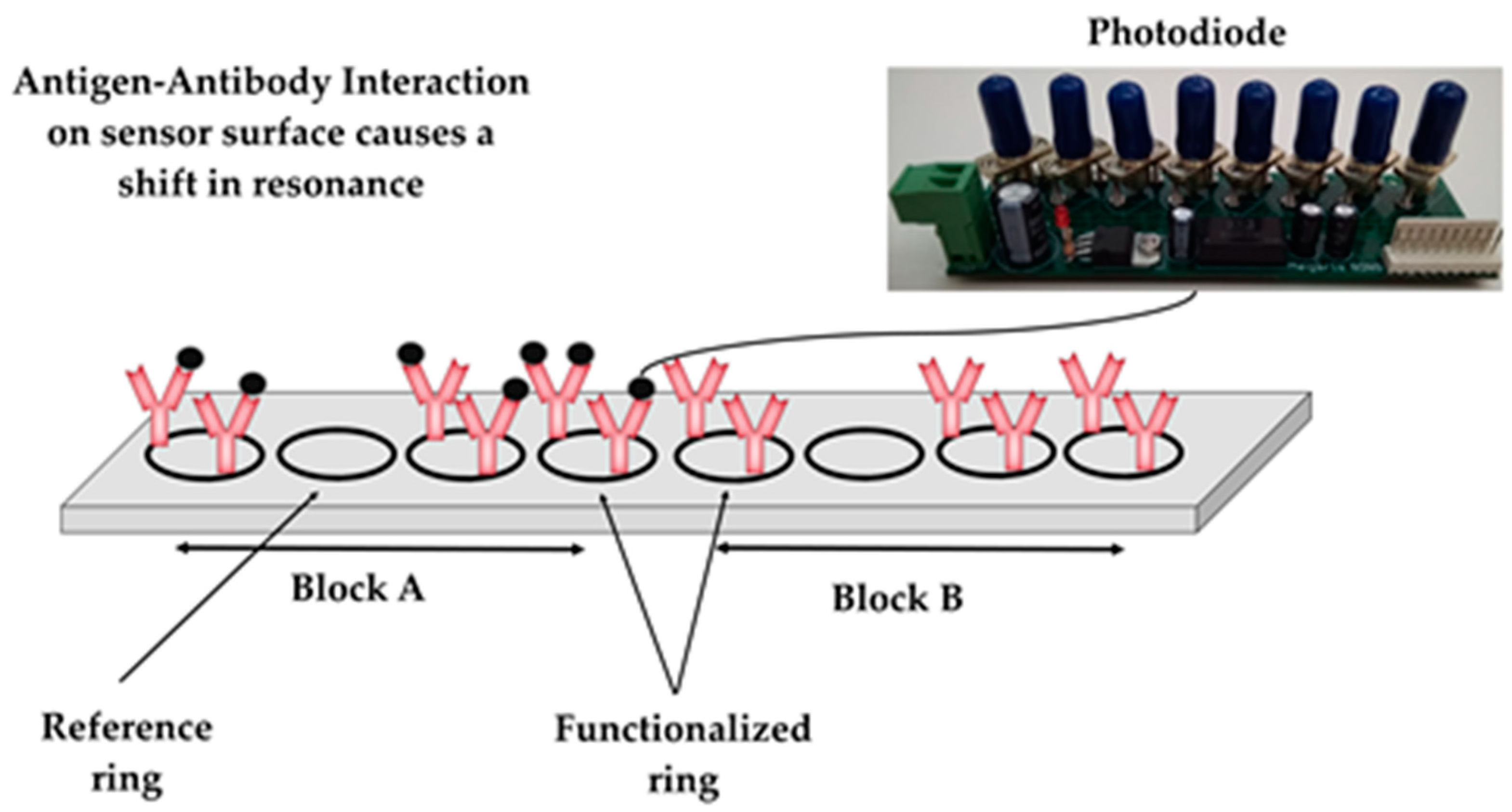 Pathogens 13 00415 g002 Pathogens 13 00415 g002