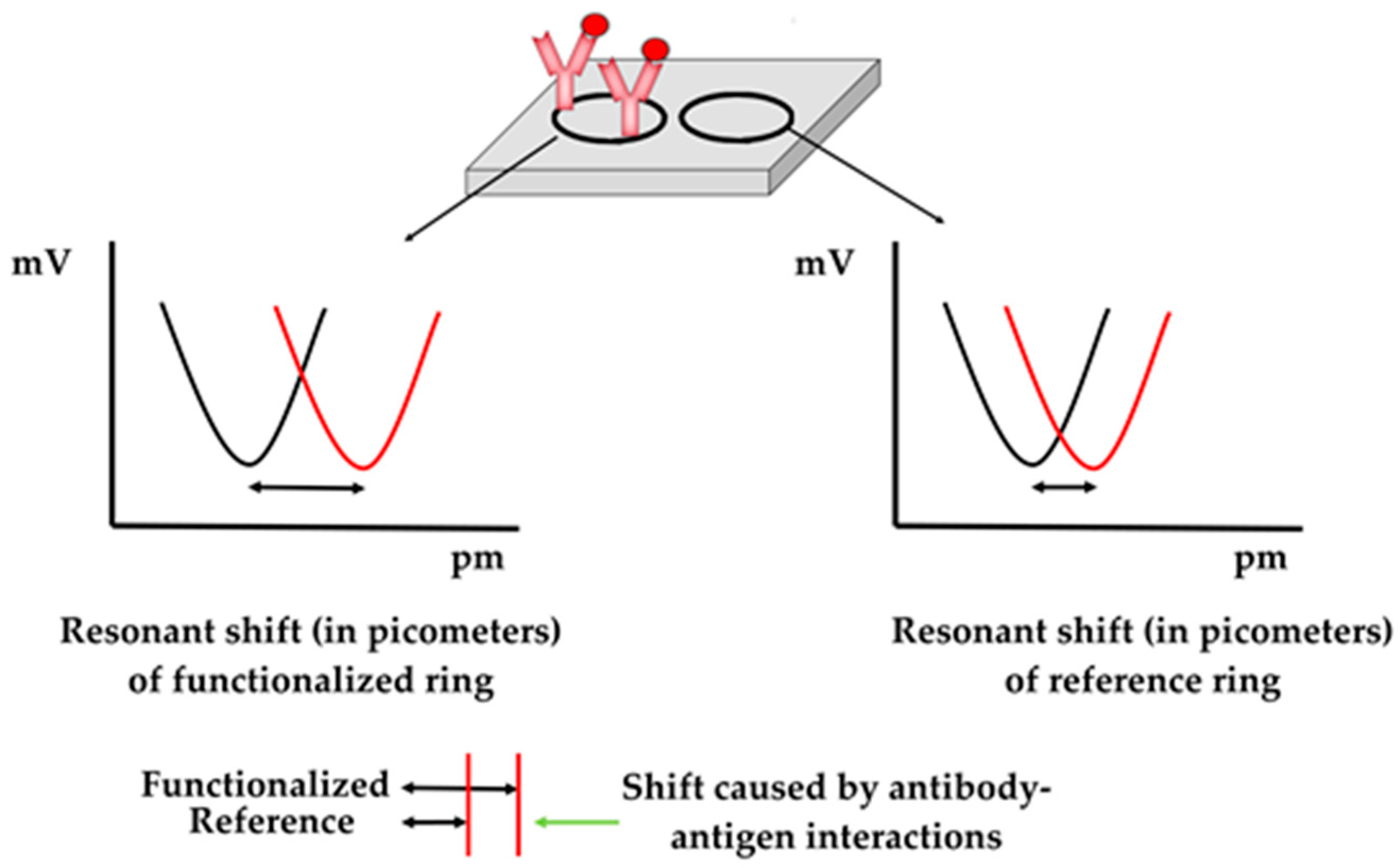 Pathogens 13 00415 g003 Pathogens 13 00415 g003
