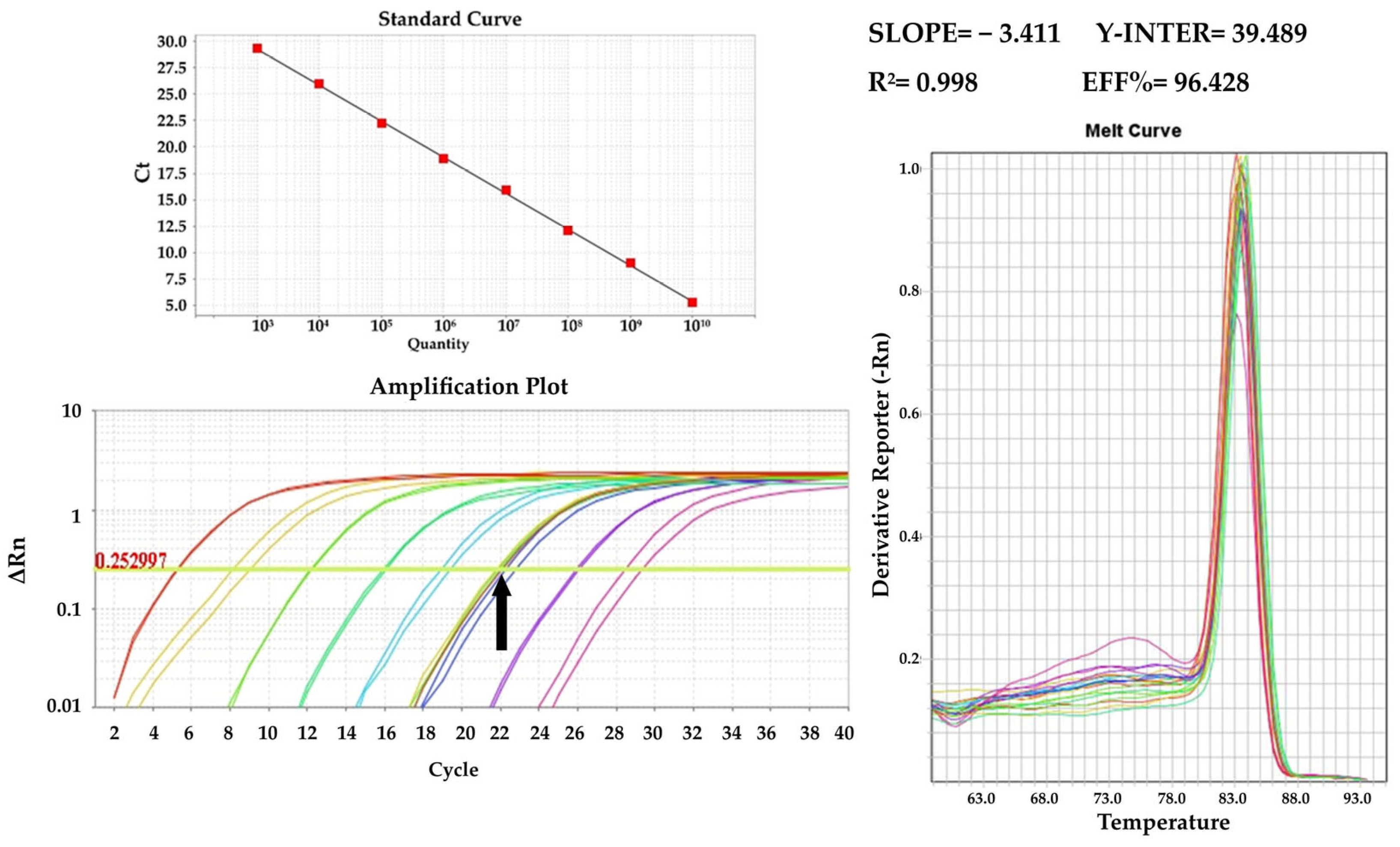 Pathogens 13 00415 g005 Pathogens 13 00415 g005