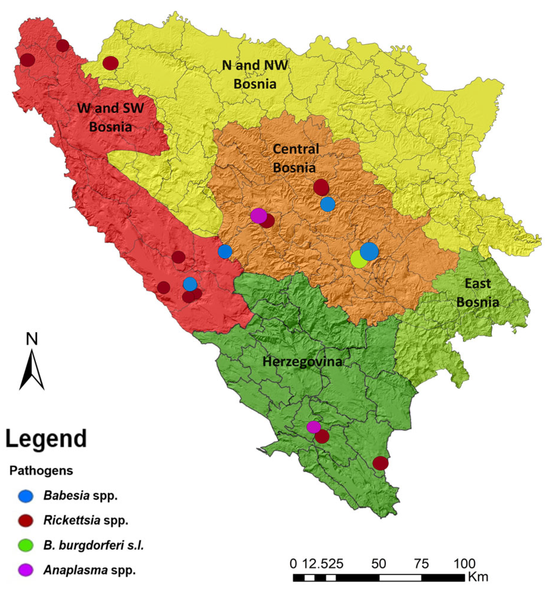 Pathogens 13 00421 g003