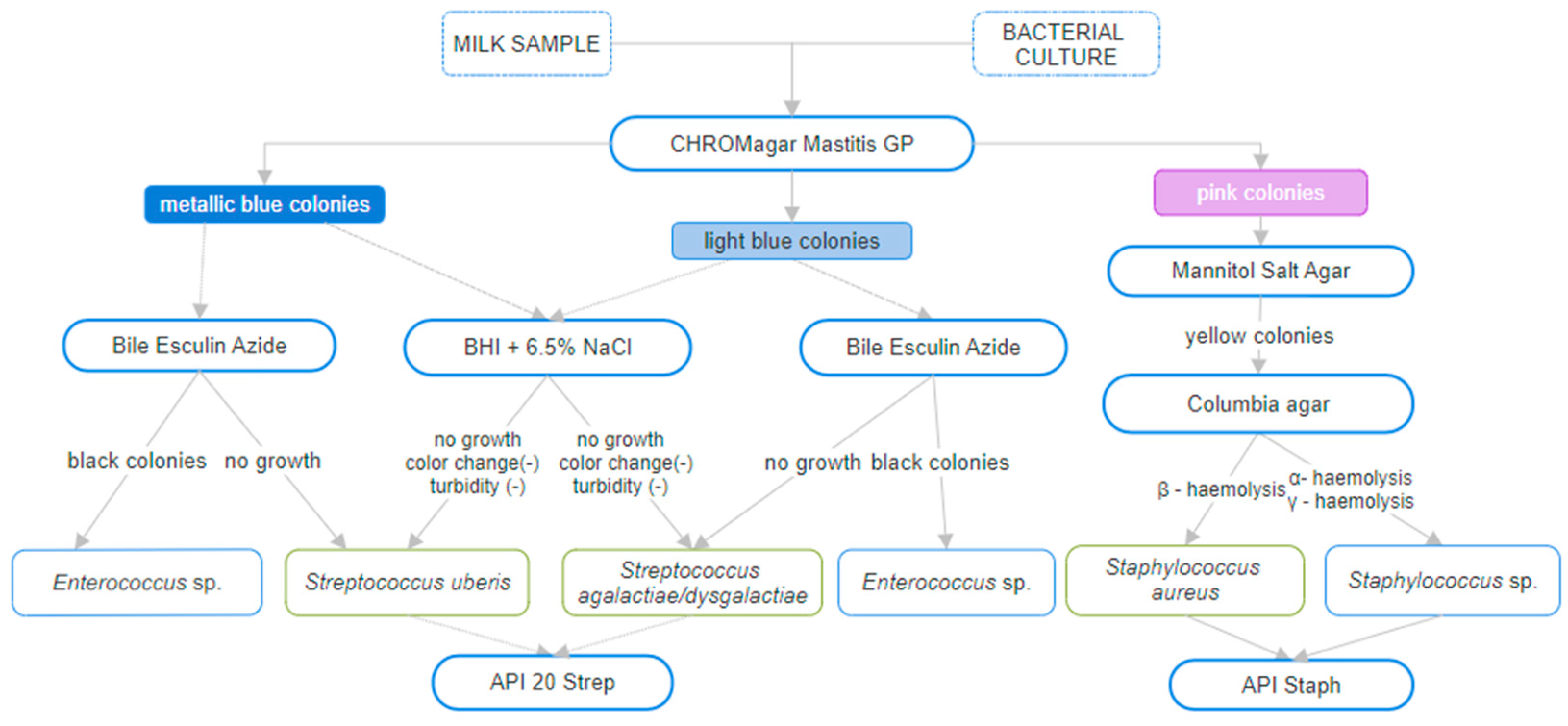 Pathogens 13 00423 g001