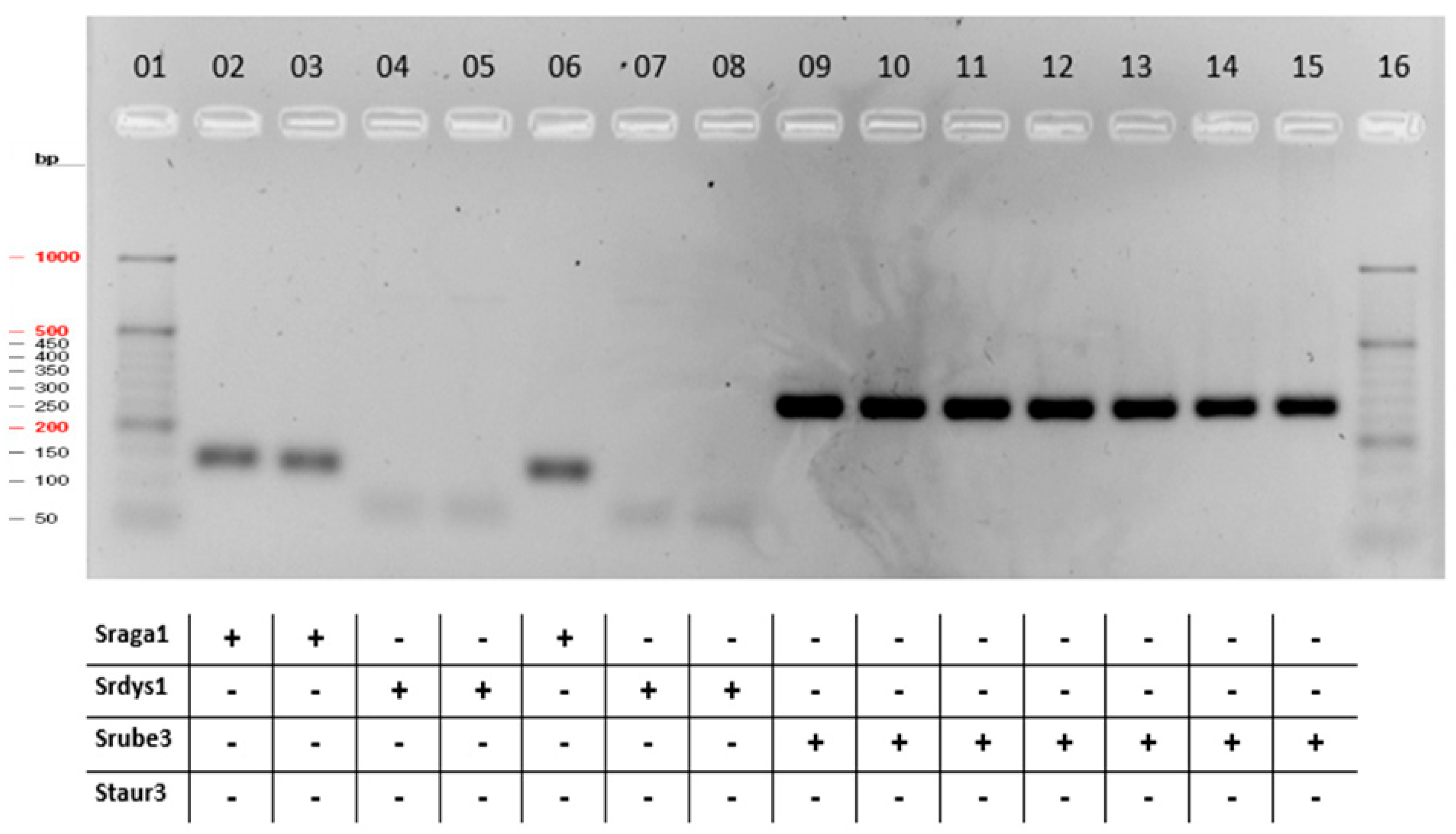 Pathogens 13 00423 g002