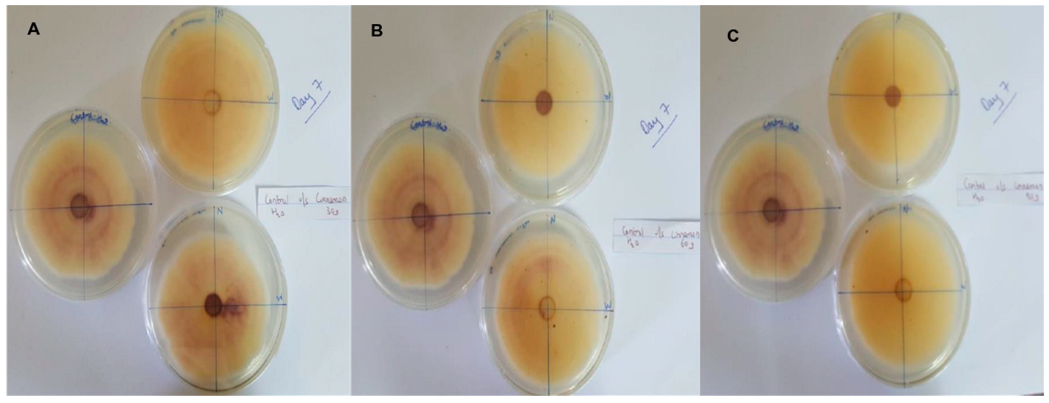 Pathogens 13 00436 g005
