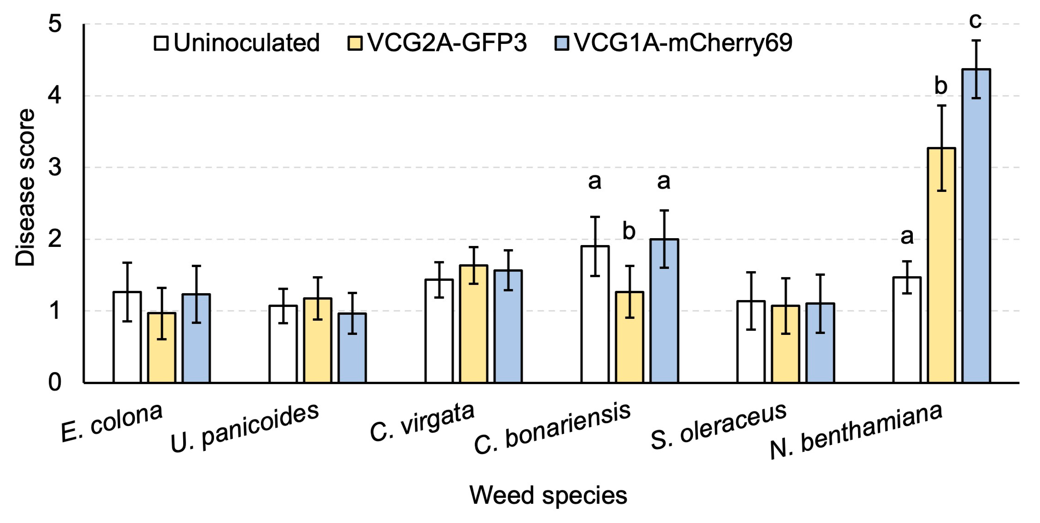 Pathogens 13 00442 g007