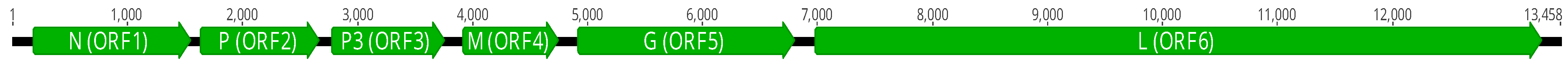 Pathogens 13 00445 g002