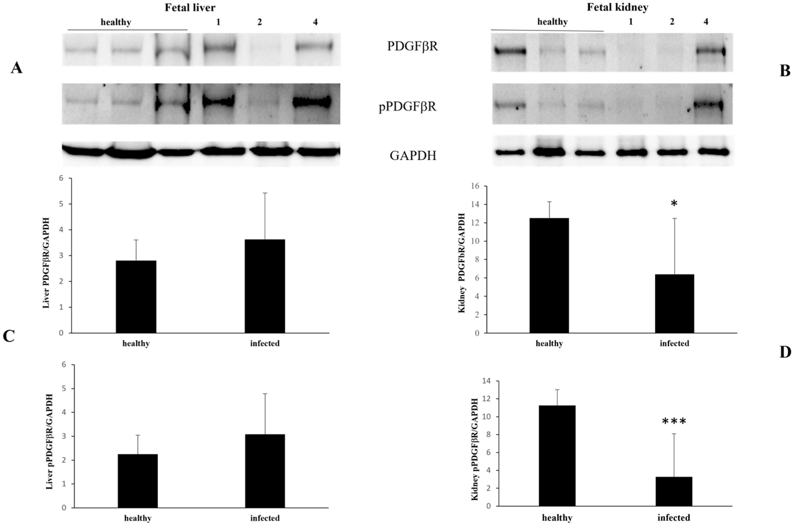 Pathogens 13 00453 g005 Pathogens 13 00453 g005