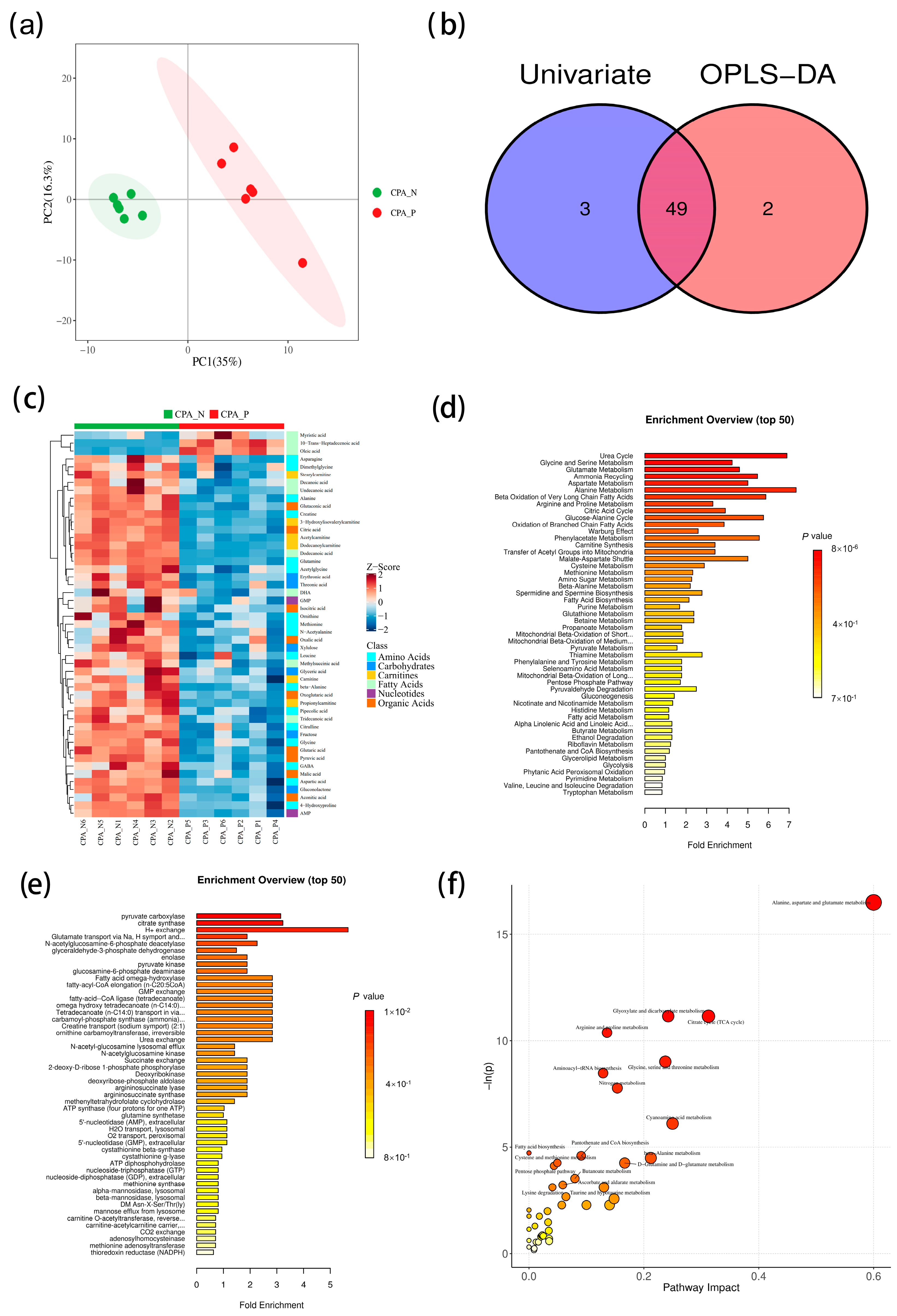 Pathogens 13 00454 g005