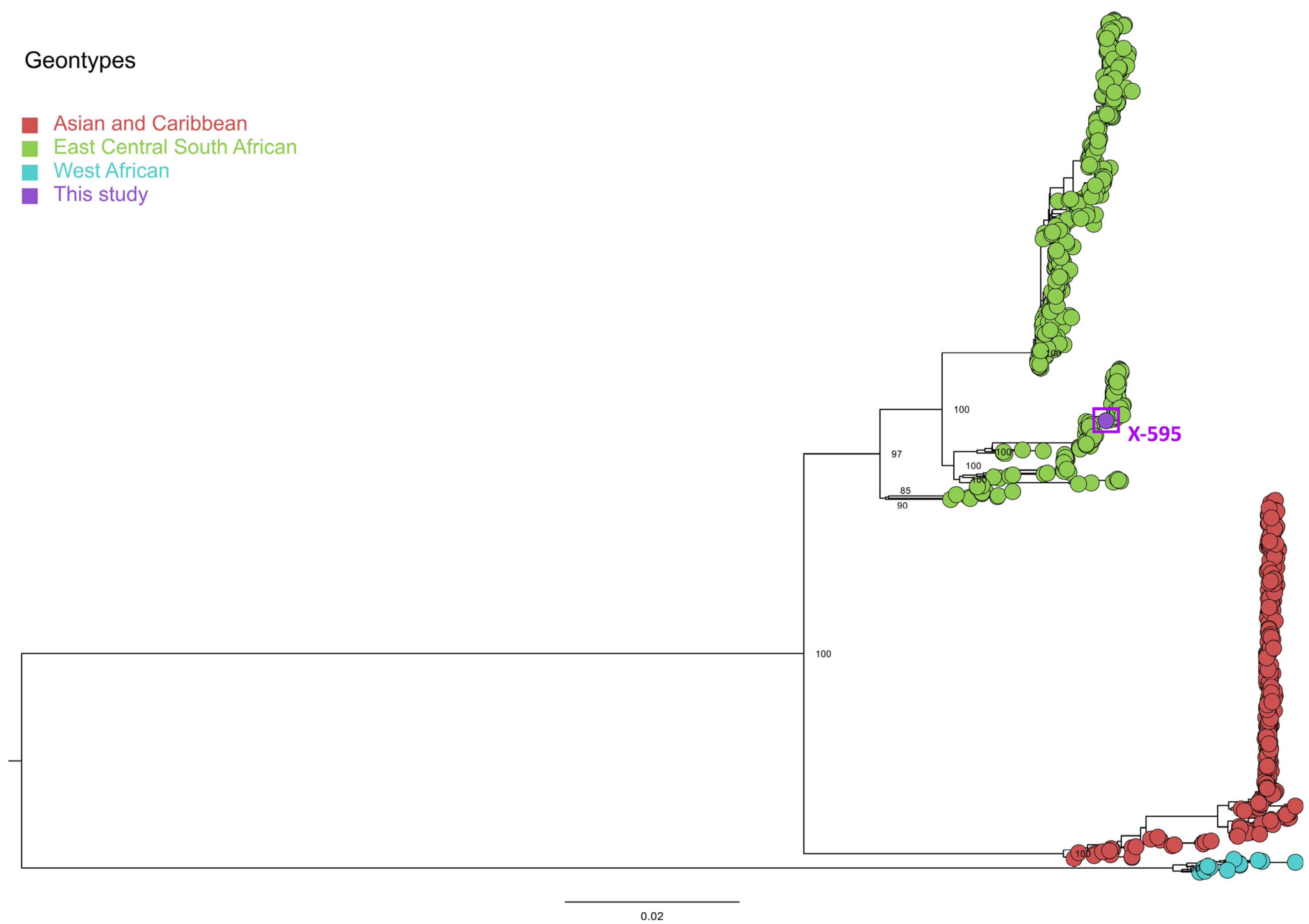 Pathogens 13 00457 g003