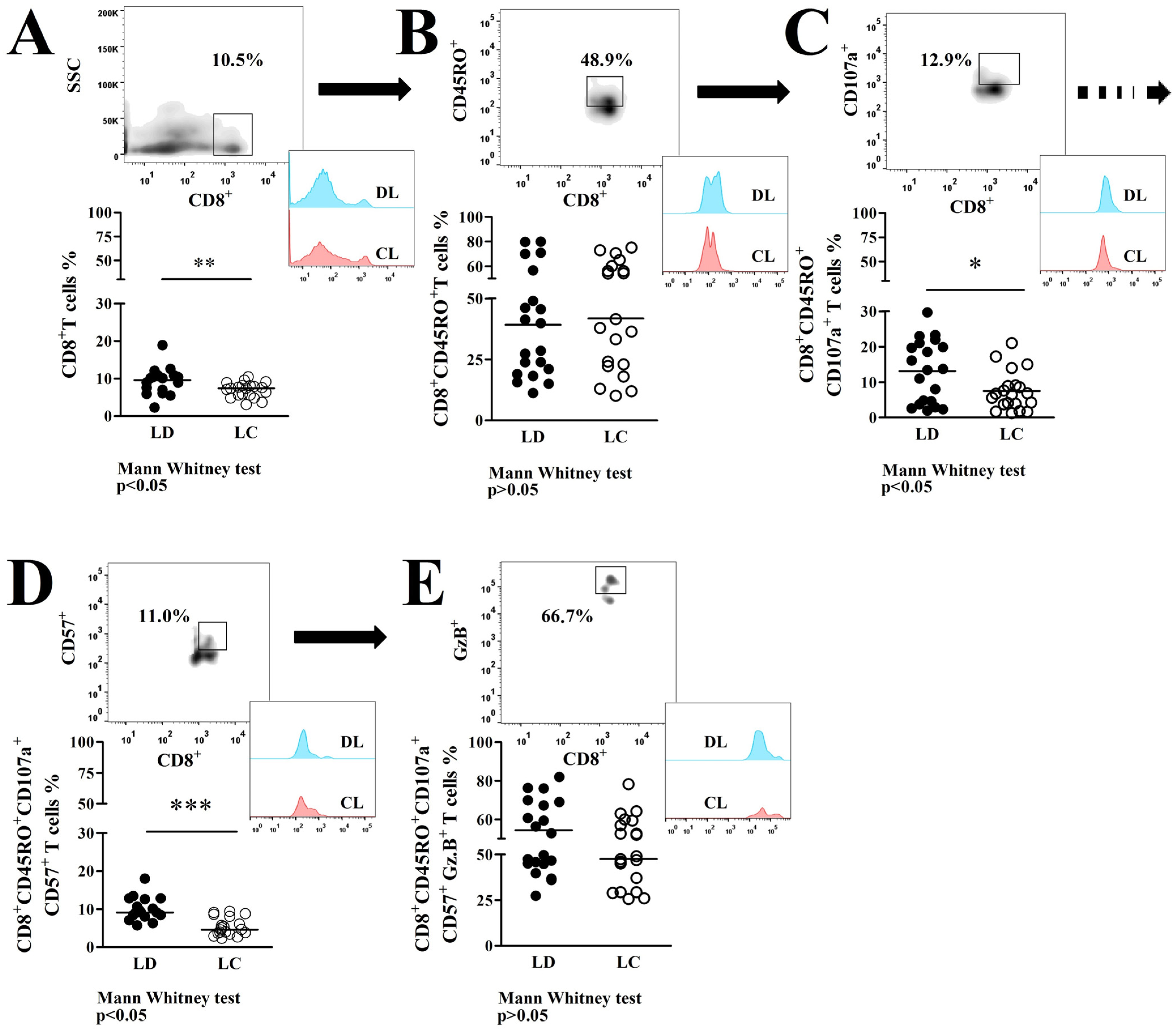 Pathogens 13 00460 g001