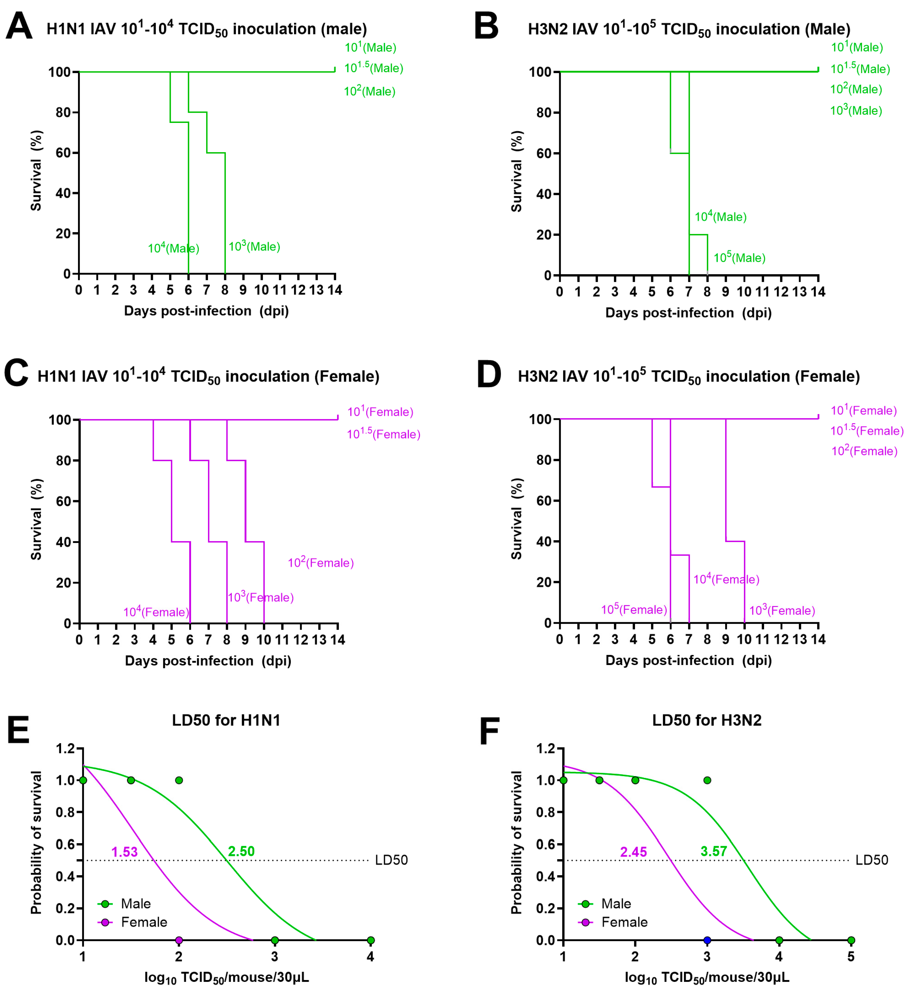 Pathogens 13 00468 g001