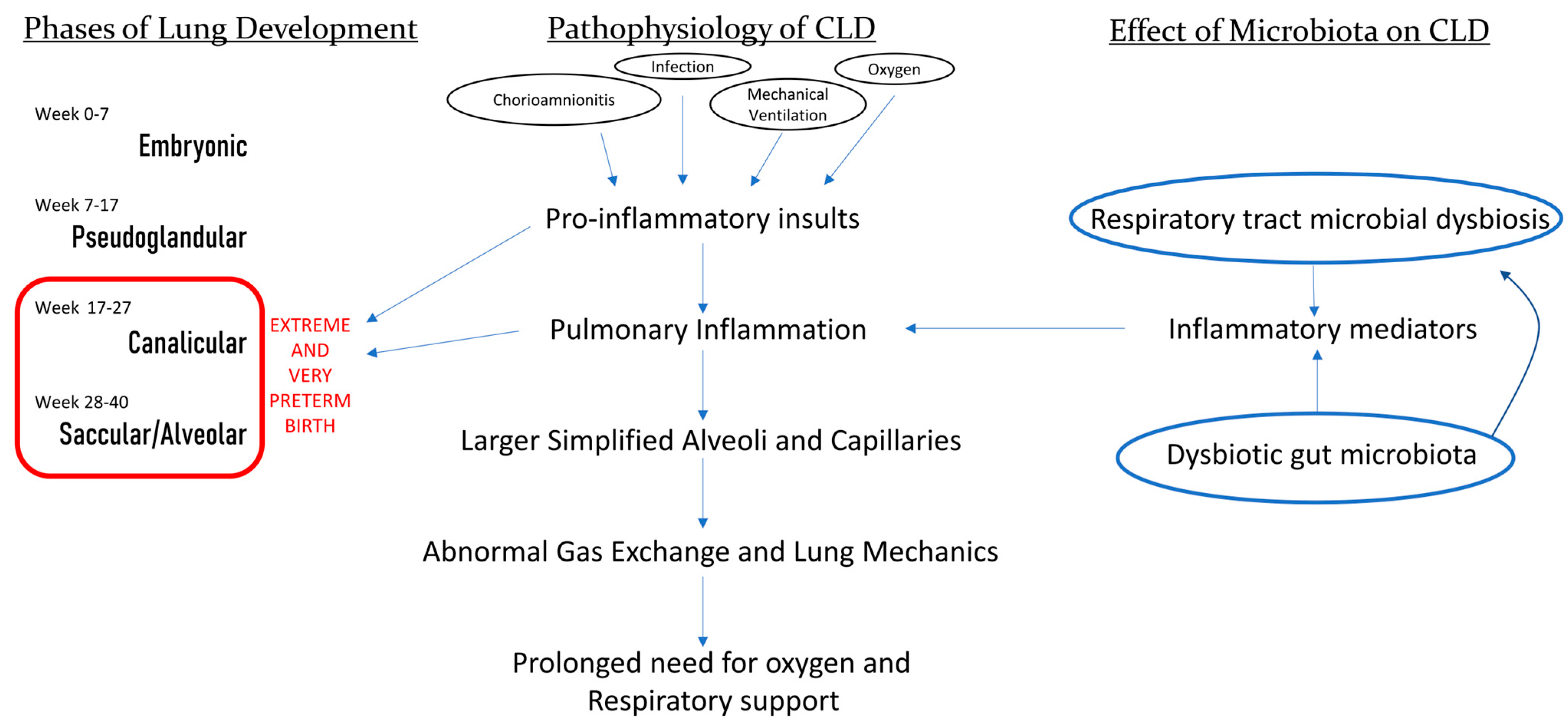 Pathogens 13 00472 g001