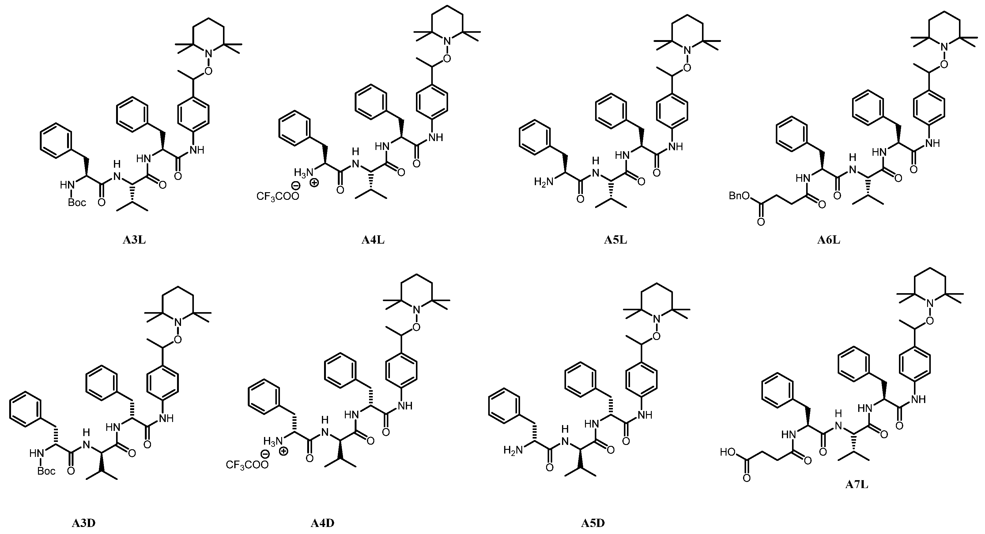 Pathogens 13 00482 g001