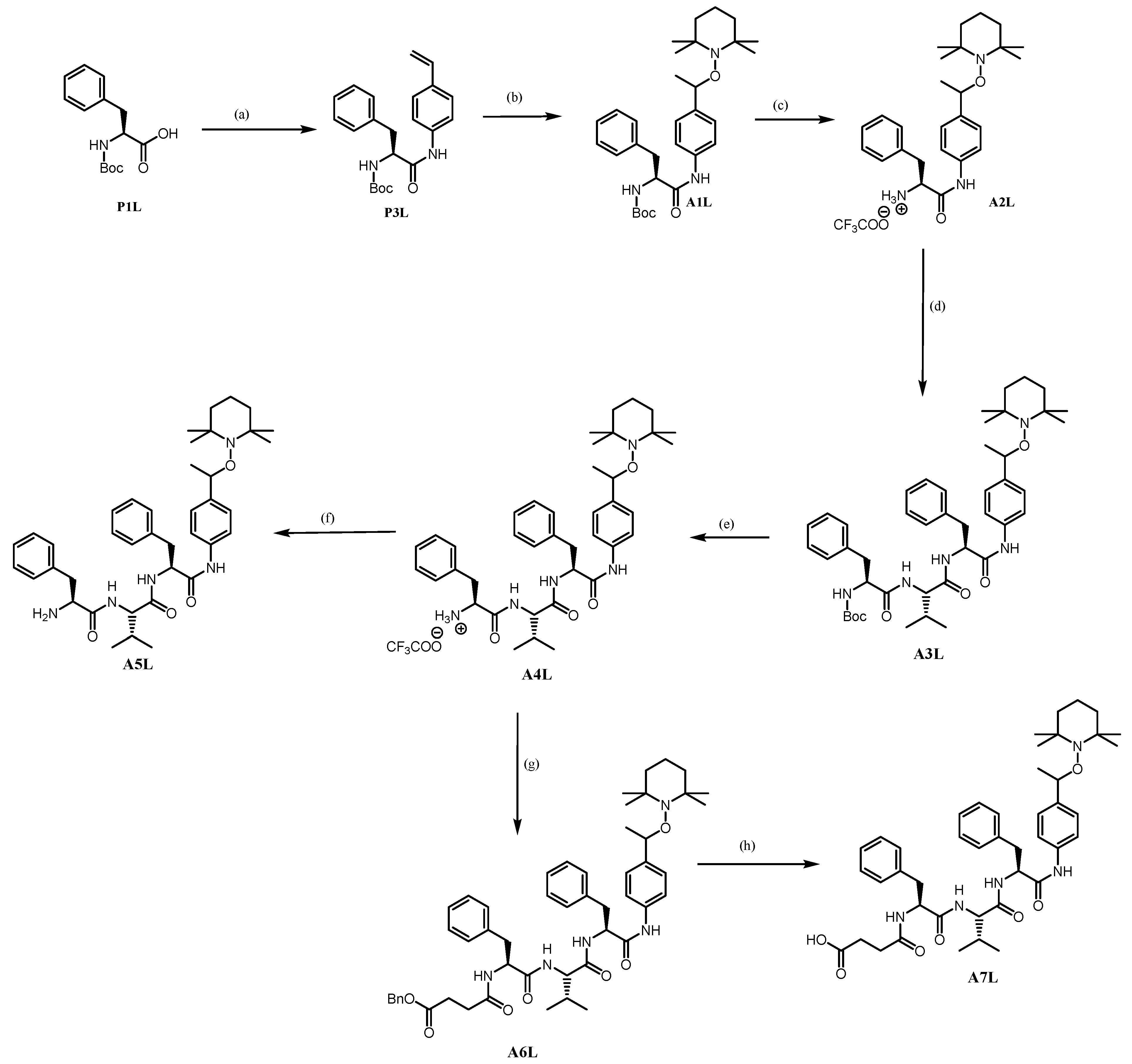 Pathogens 13 00482 sch003