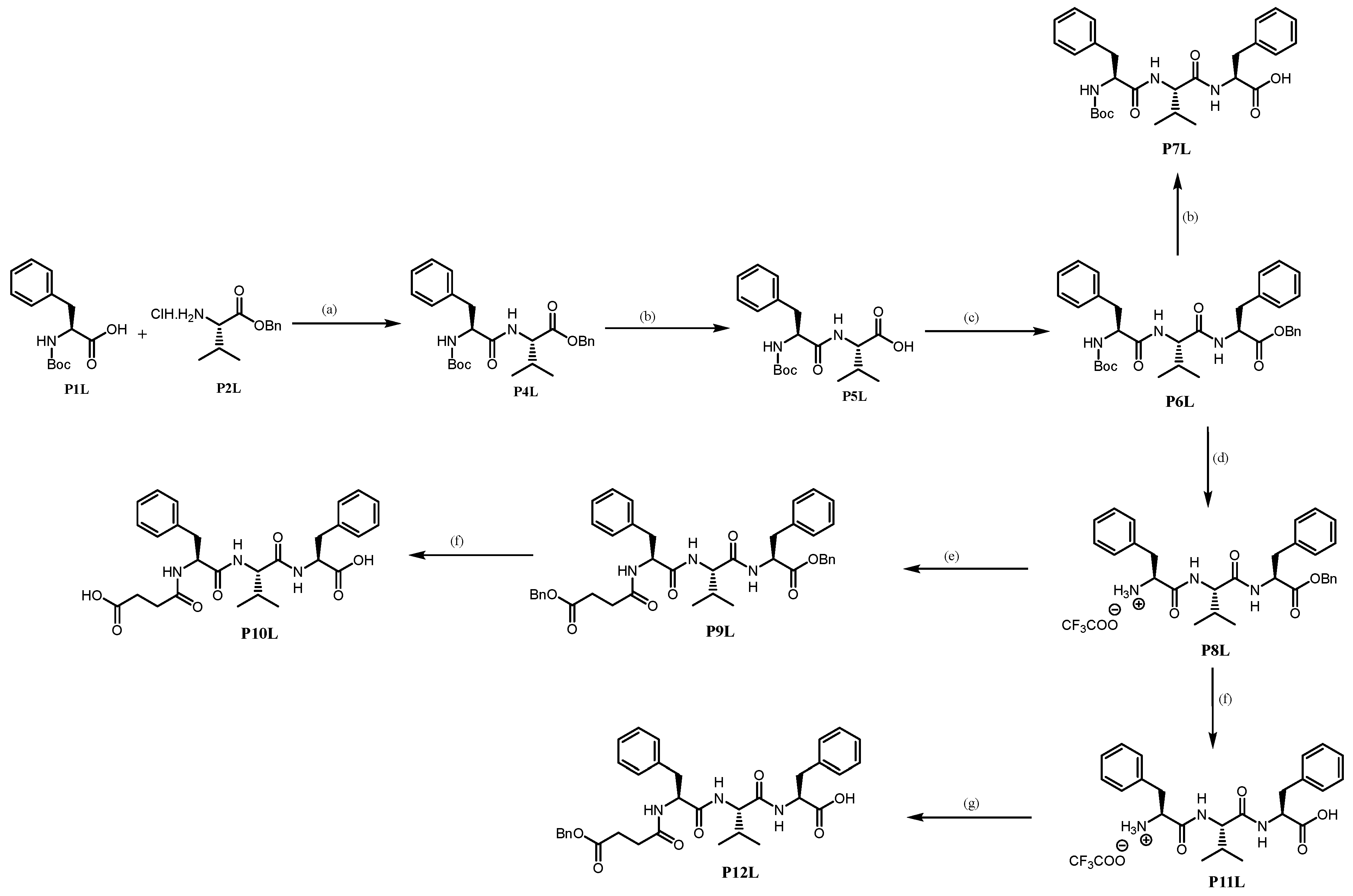 Pathogens 13 00482 sch004