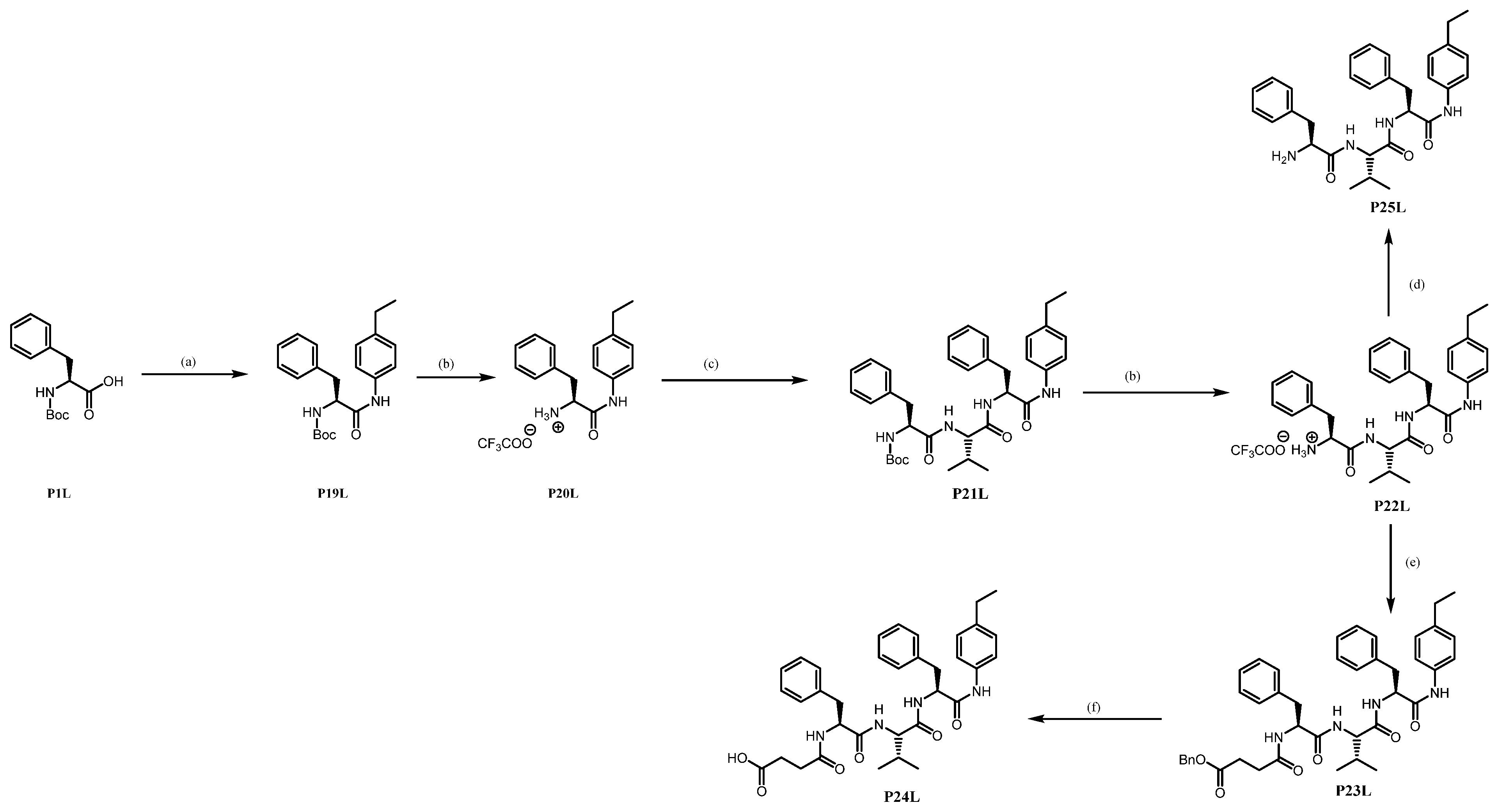 Pathogens 13 00482 sch006