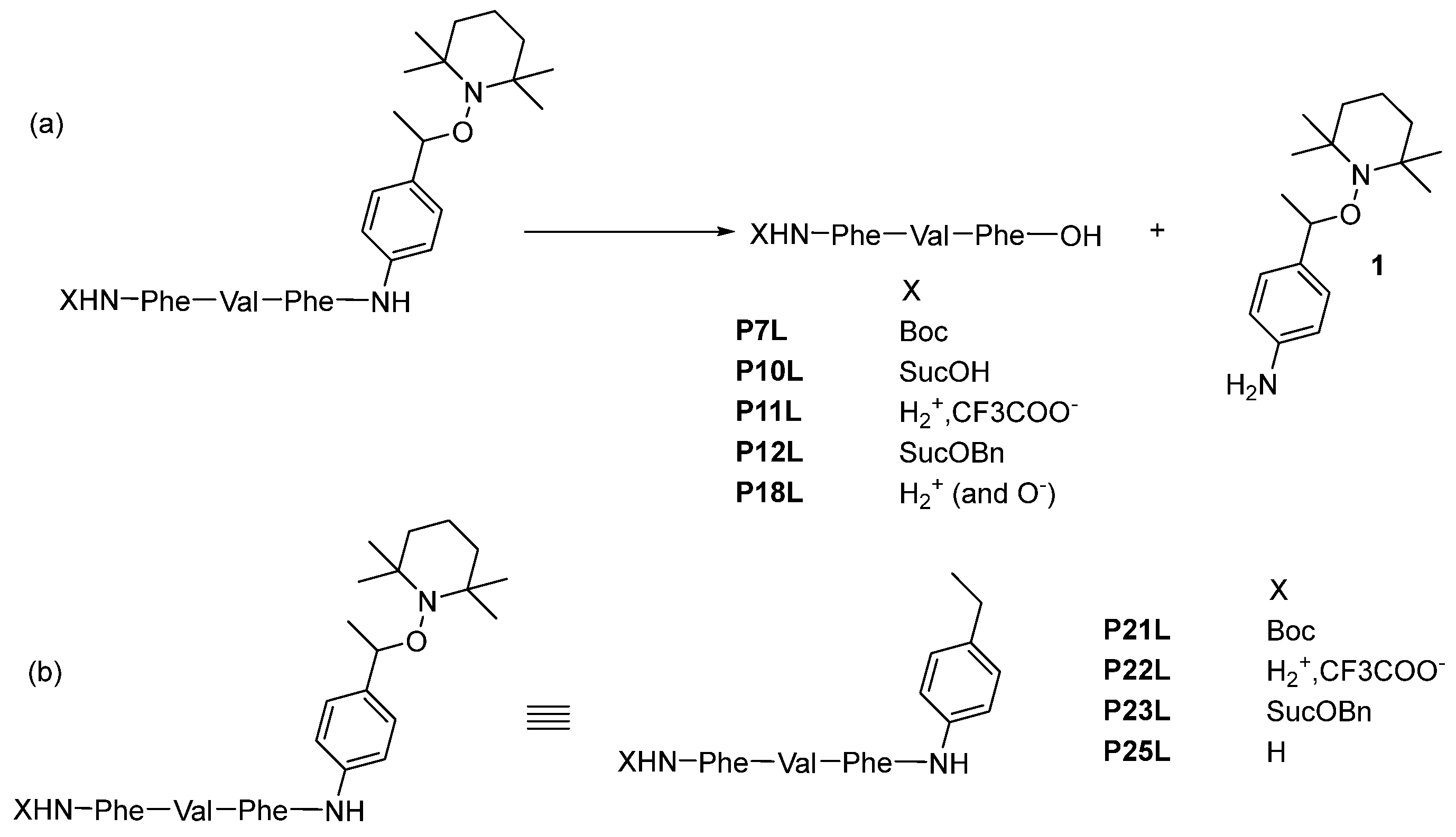 Pathogens 13 00482 sch007