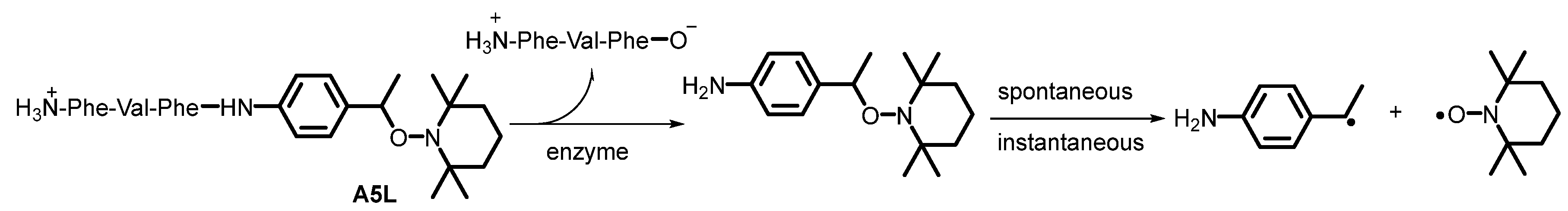 Pathogens 13 00482 sch008