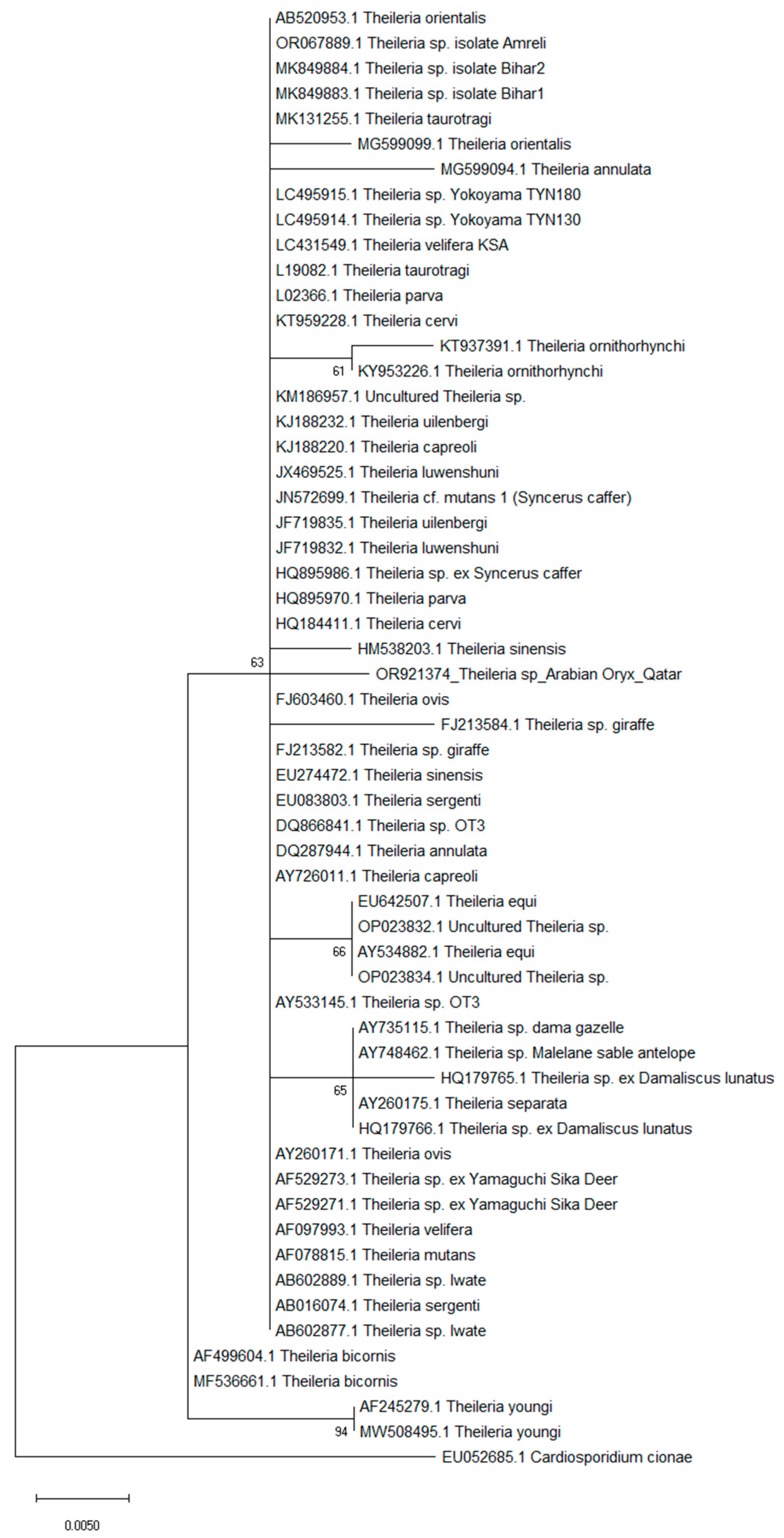 Pathogens 13 00485 g003
