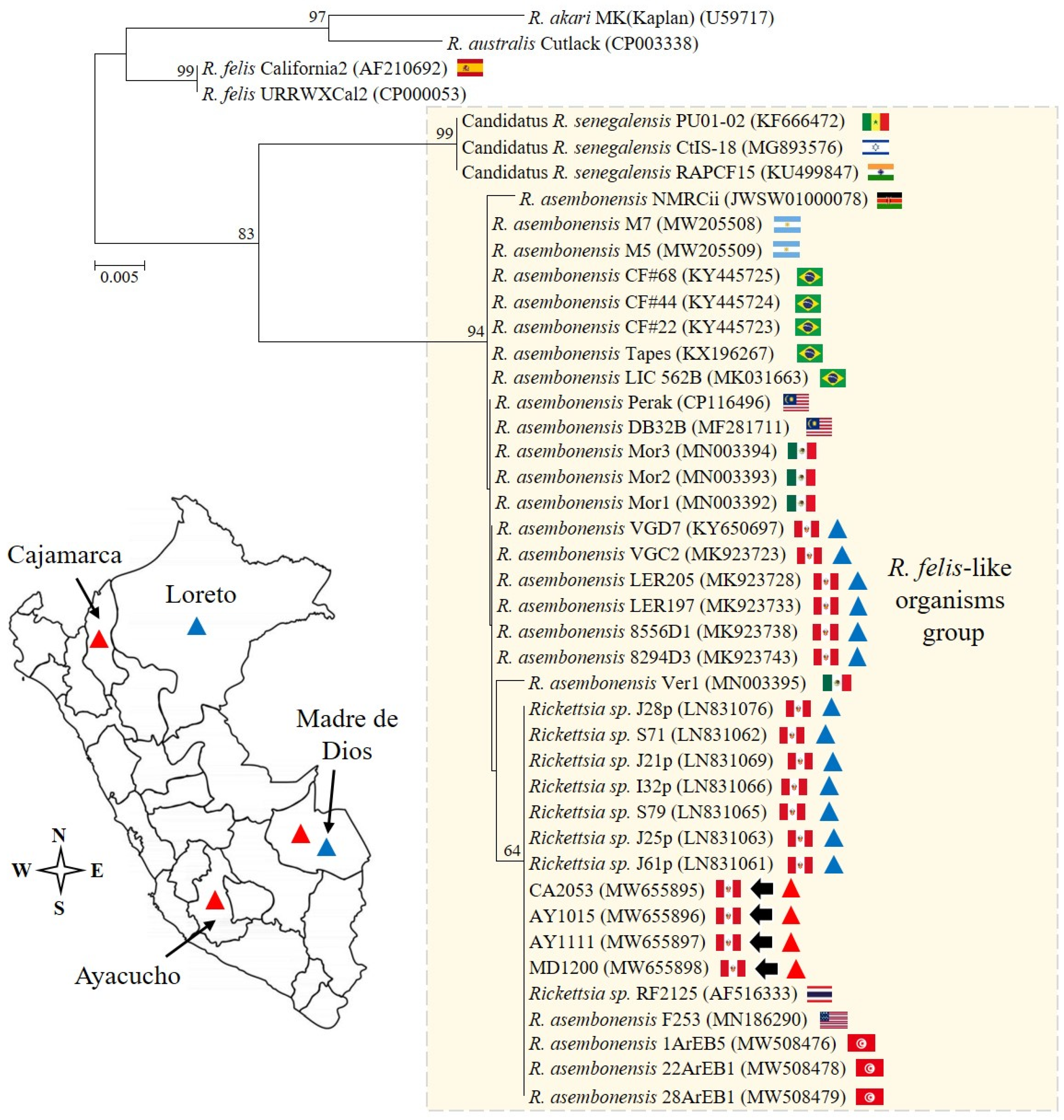 Pathogens 13 00489 g002