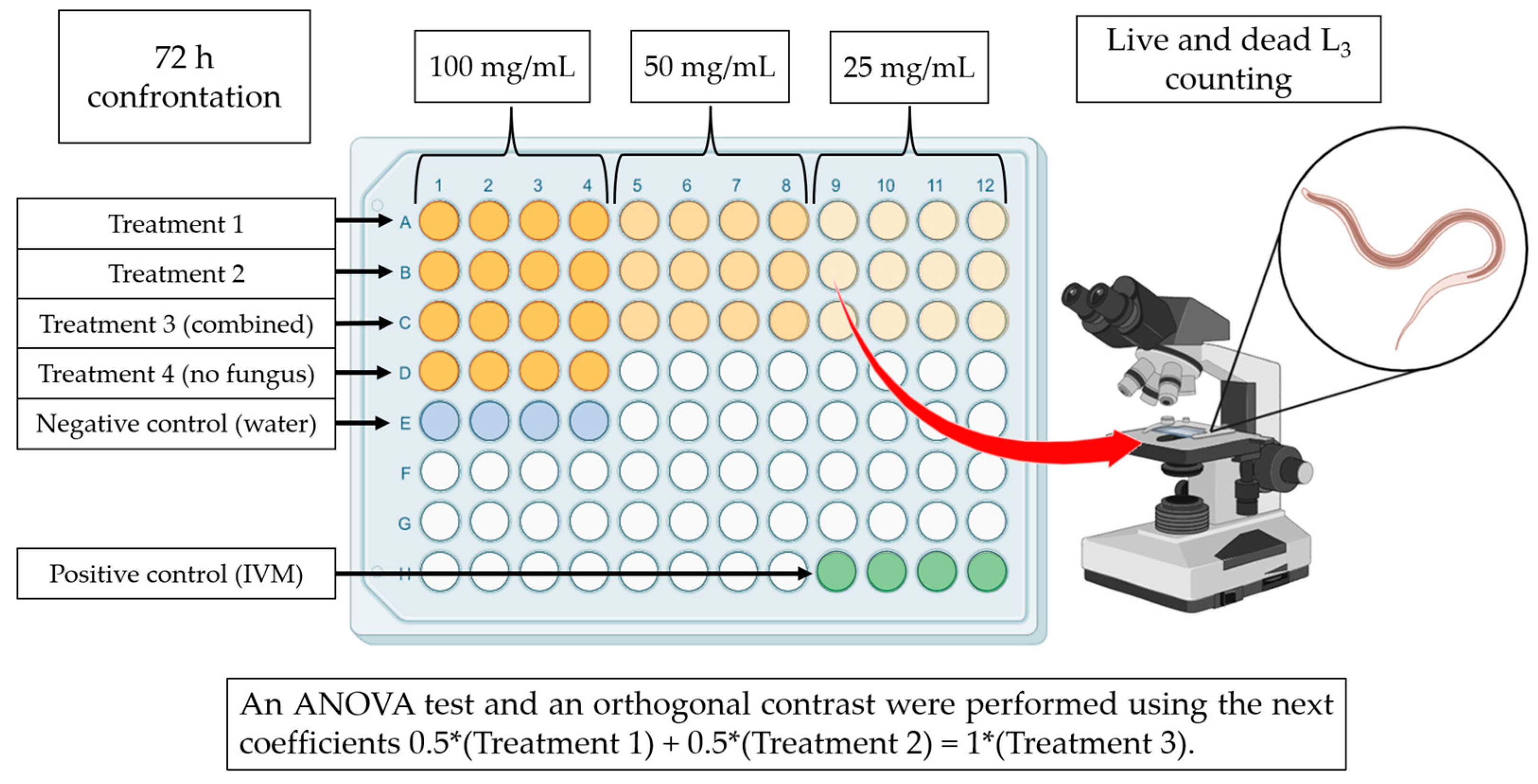 Pathogens 13 00498 g001