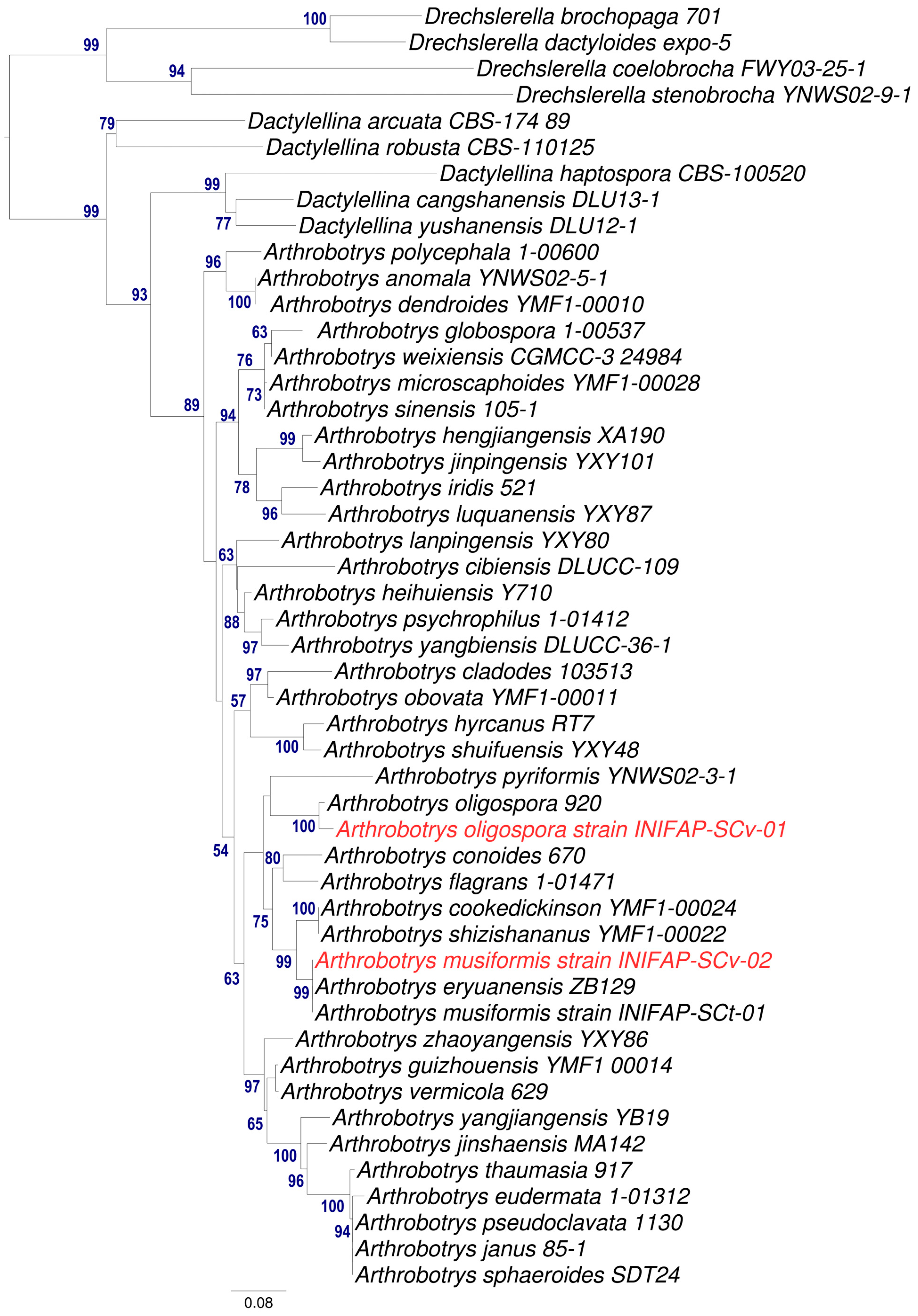 Pathogens 13 00498 g005
