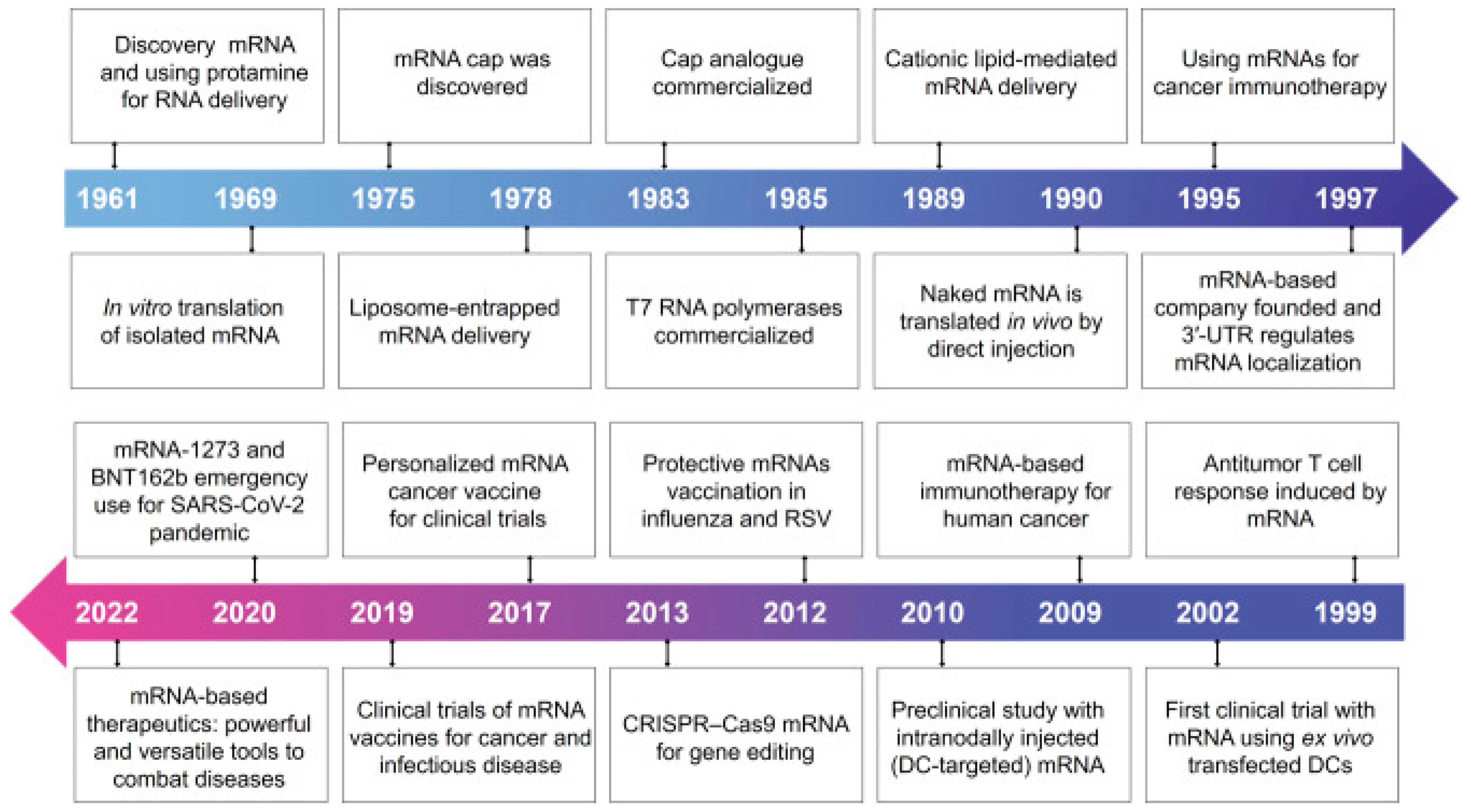 Pathogens 13 00500 g003
