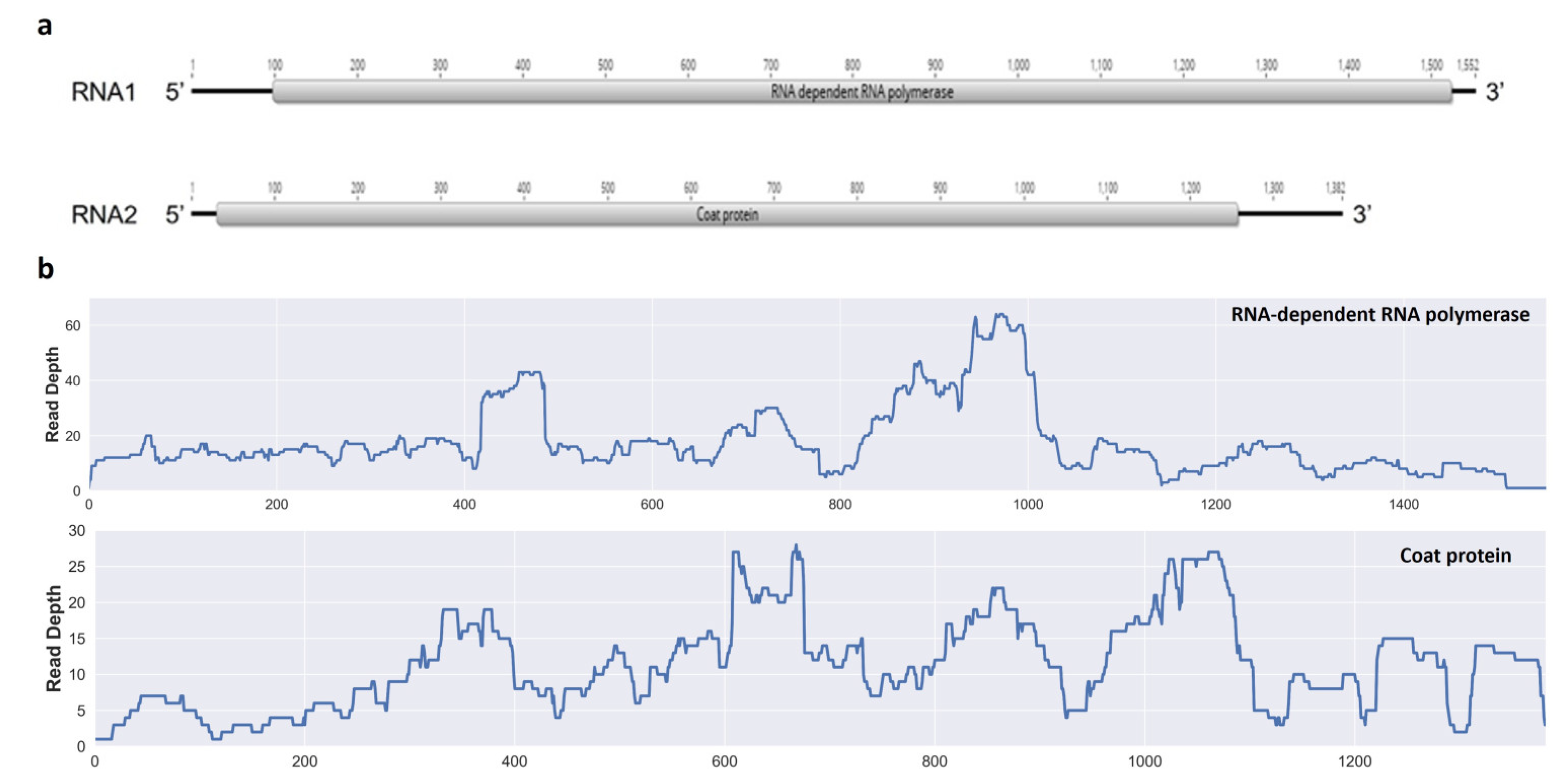 Pathogens 13 00504 g002