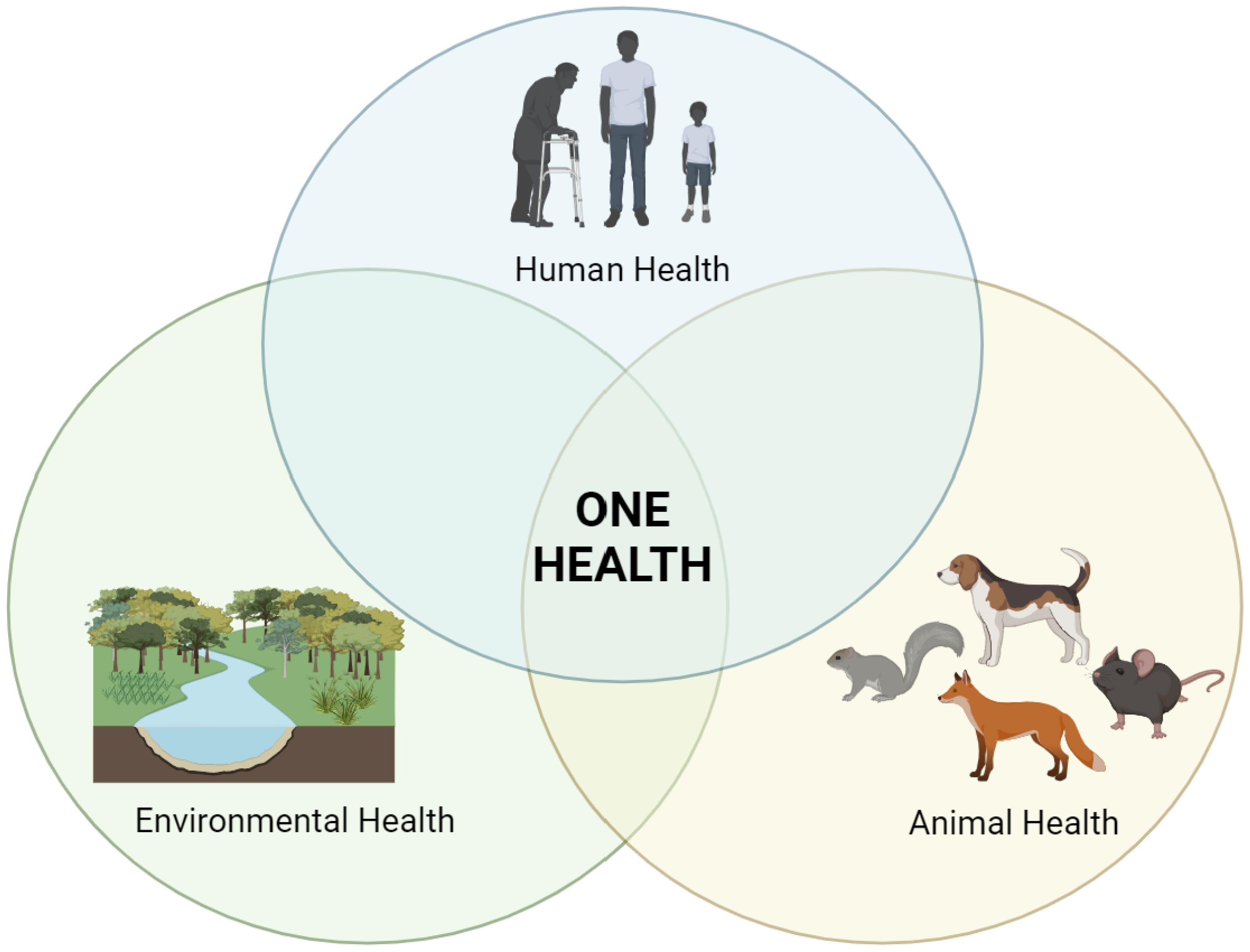 Pathogens 13 00512 g003 Pathogens 13 00512 g003