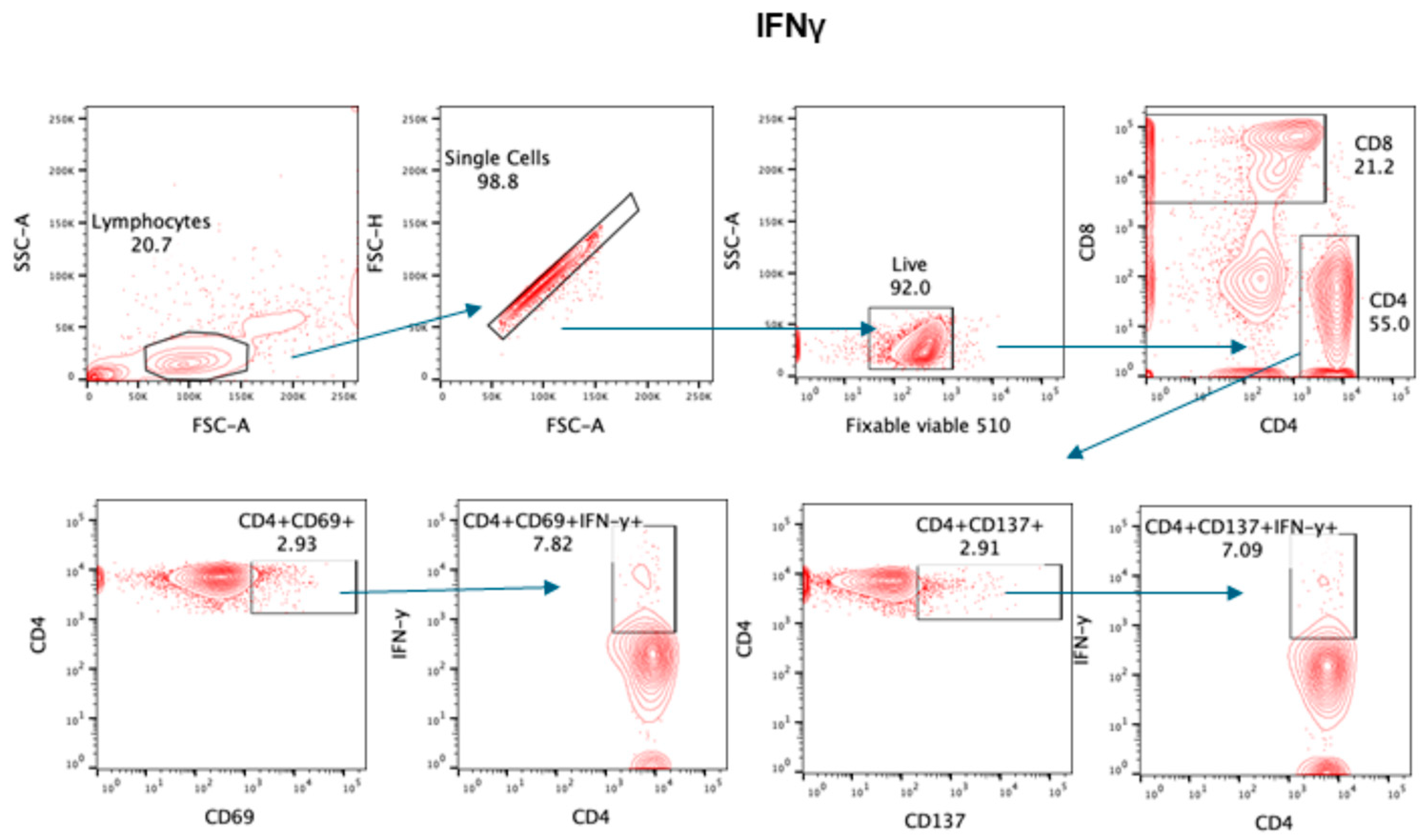 Pathogens 13 00514 g004