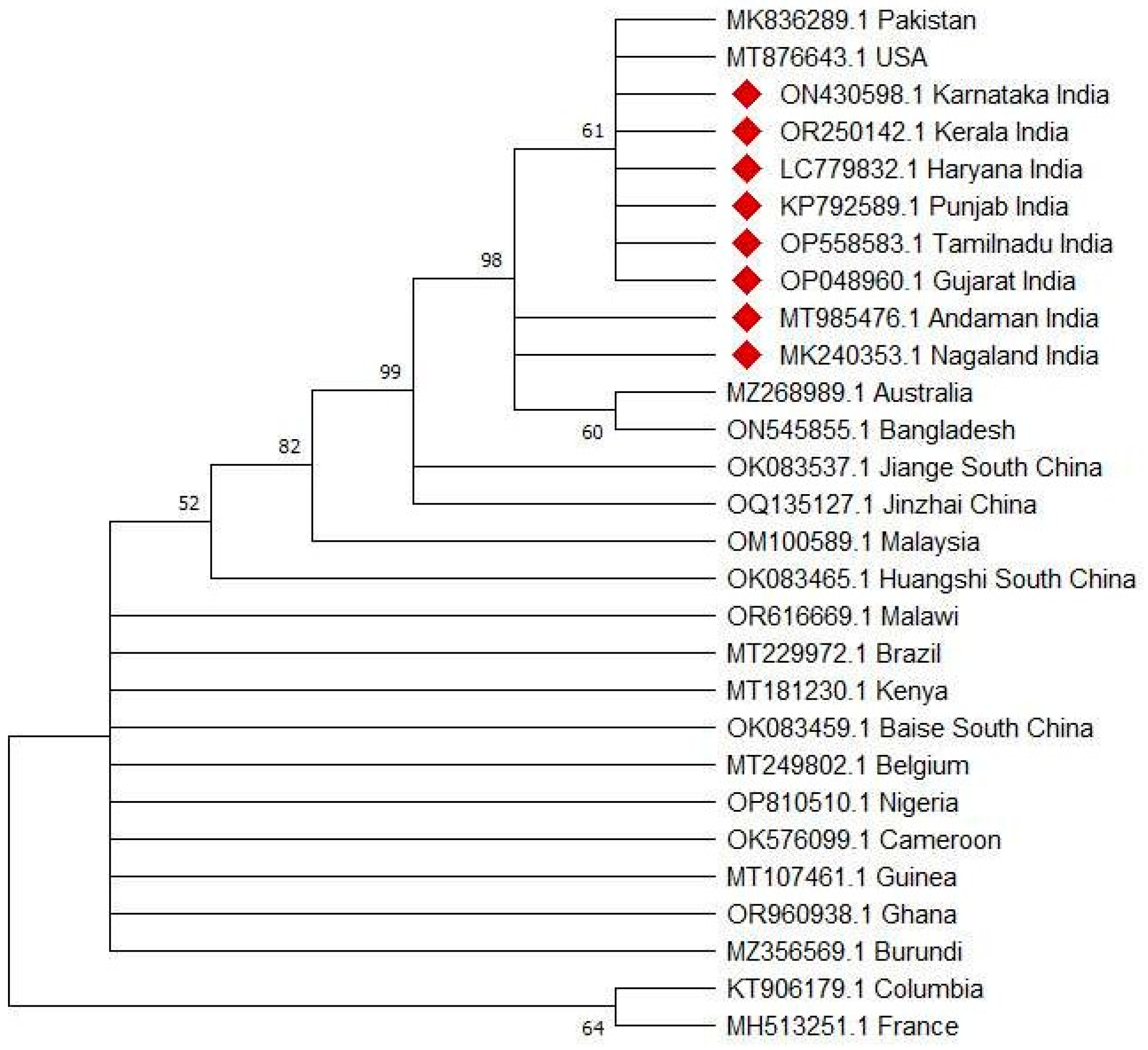 Pathogens 13 00516 g001 Pathogens 13 00516 g001