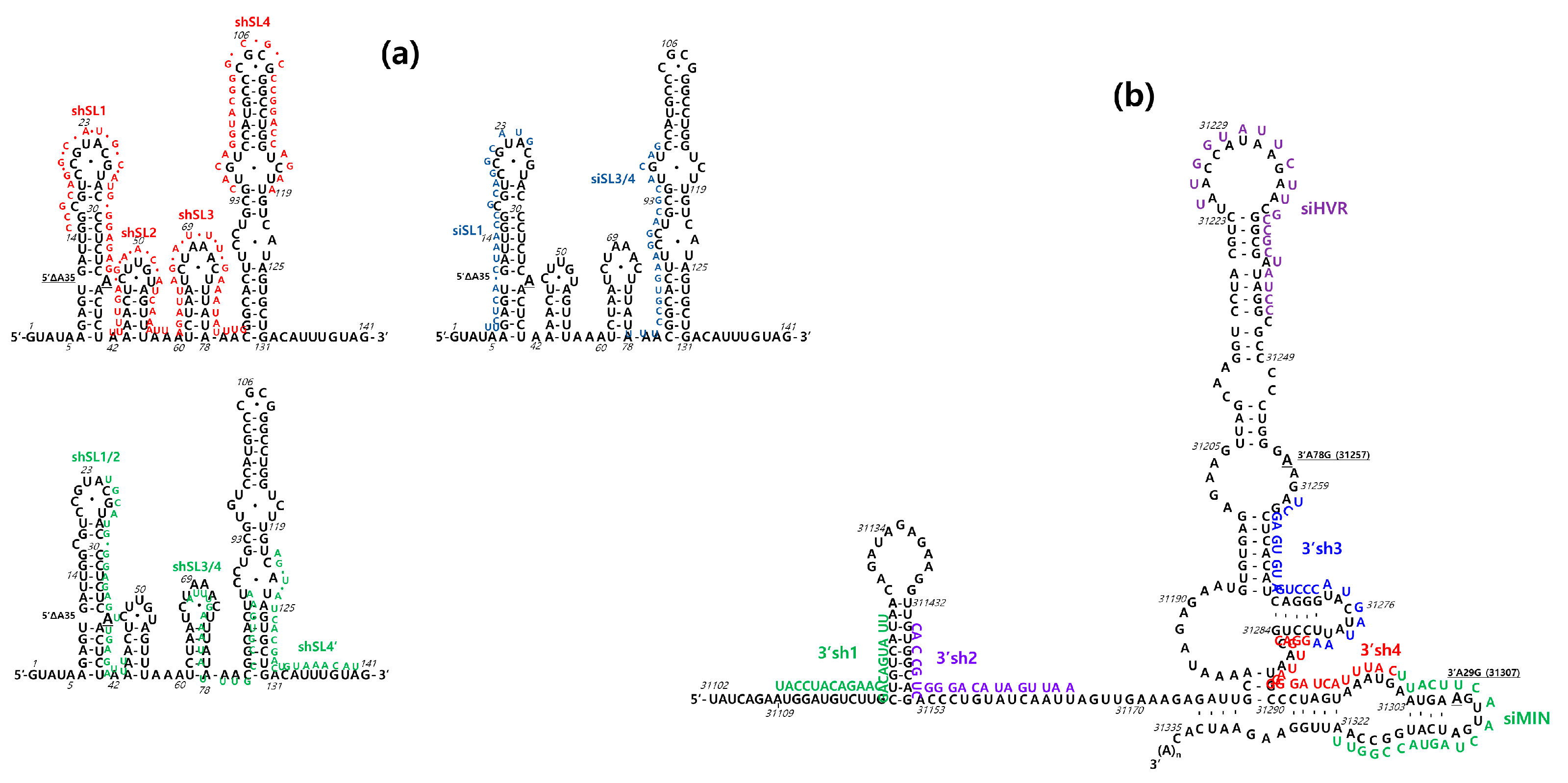 Pathogens 13 00518 g001