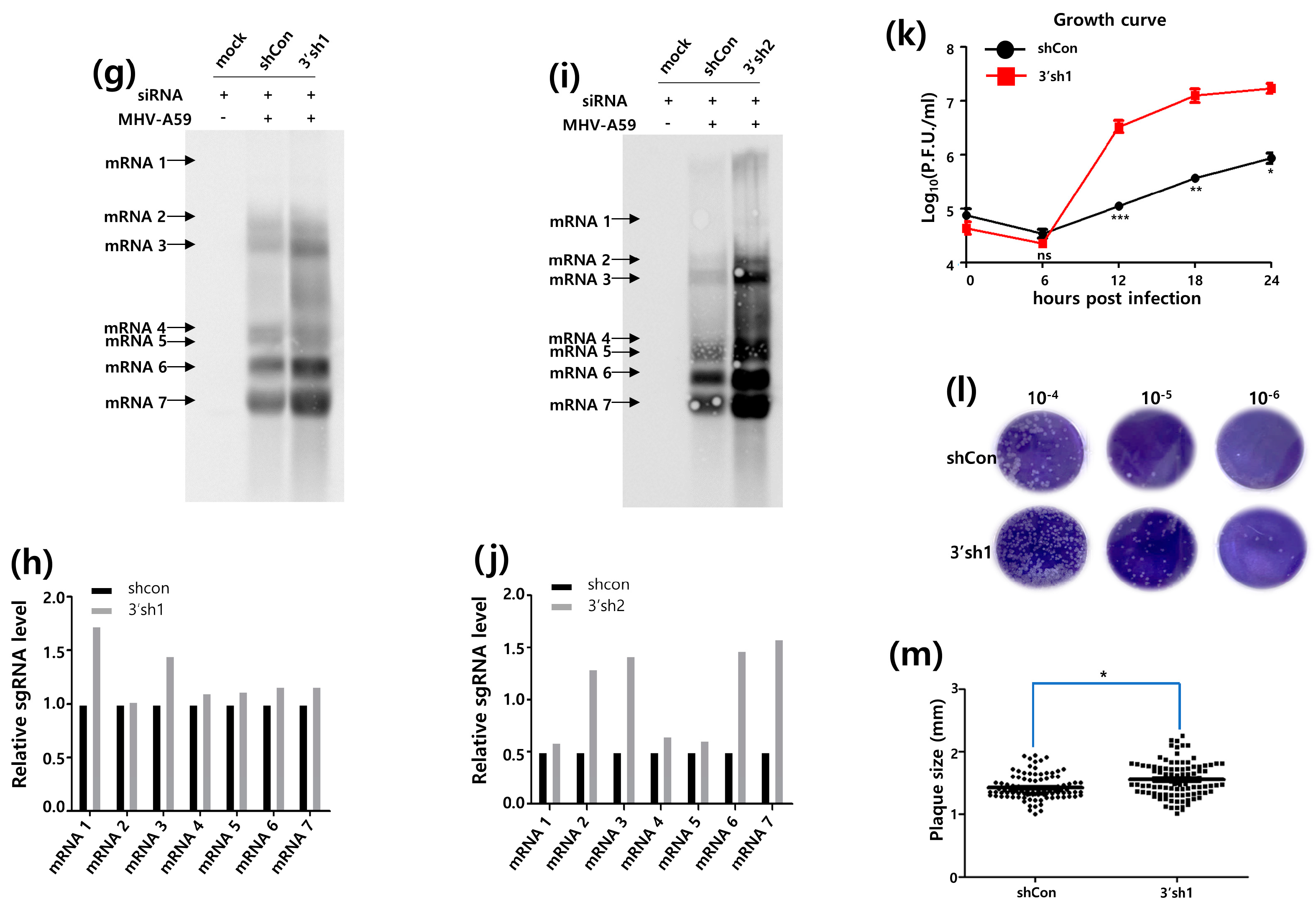 Pathogens 13 00518 g004b
