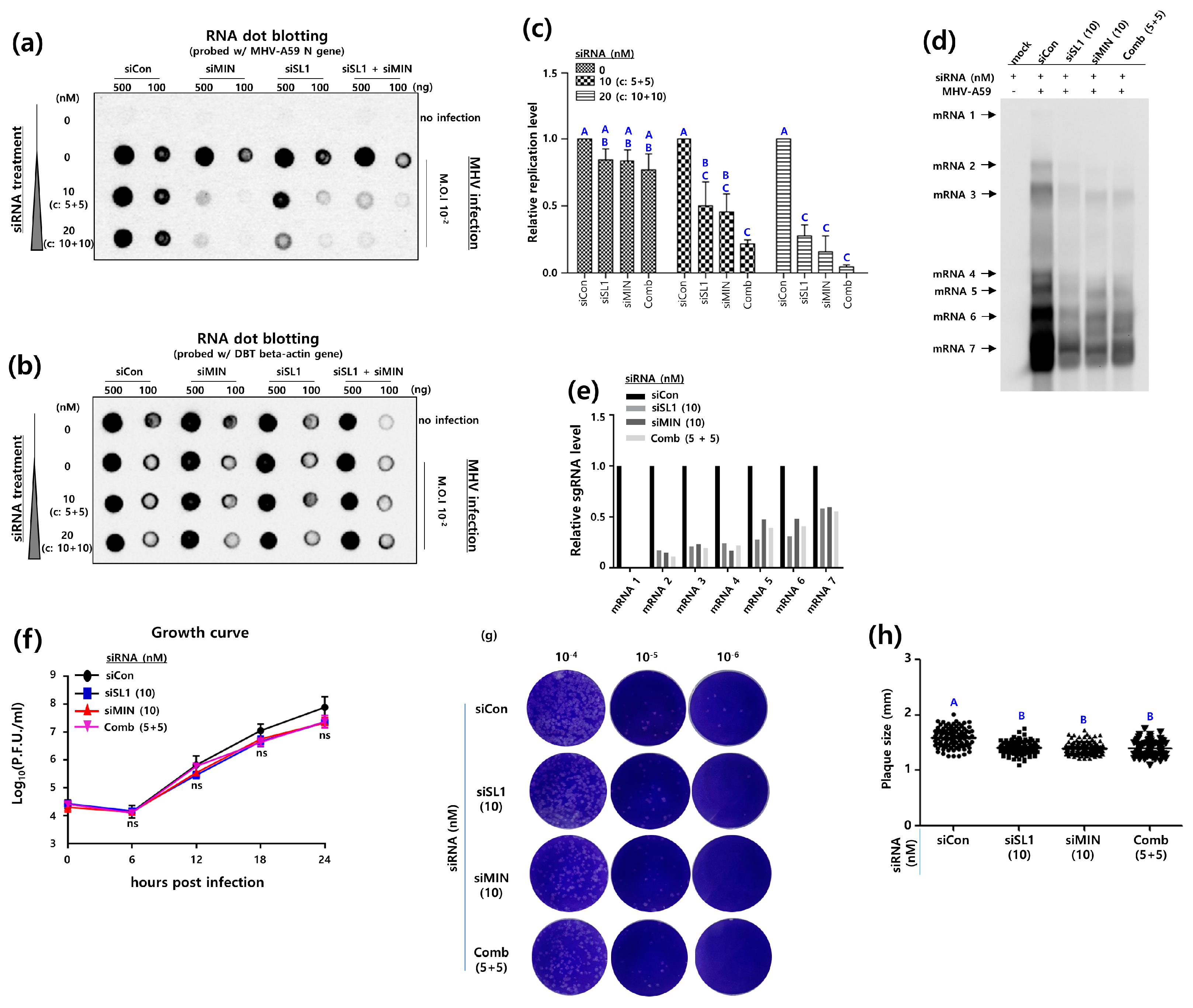 Pathogens 13 00518 g006