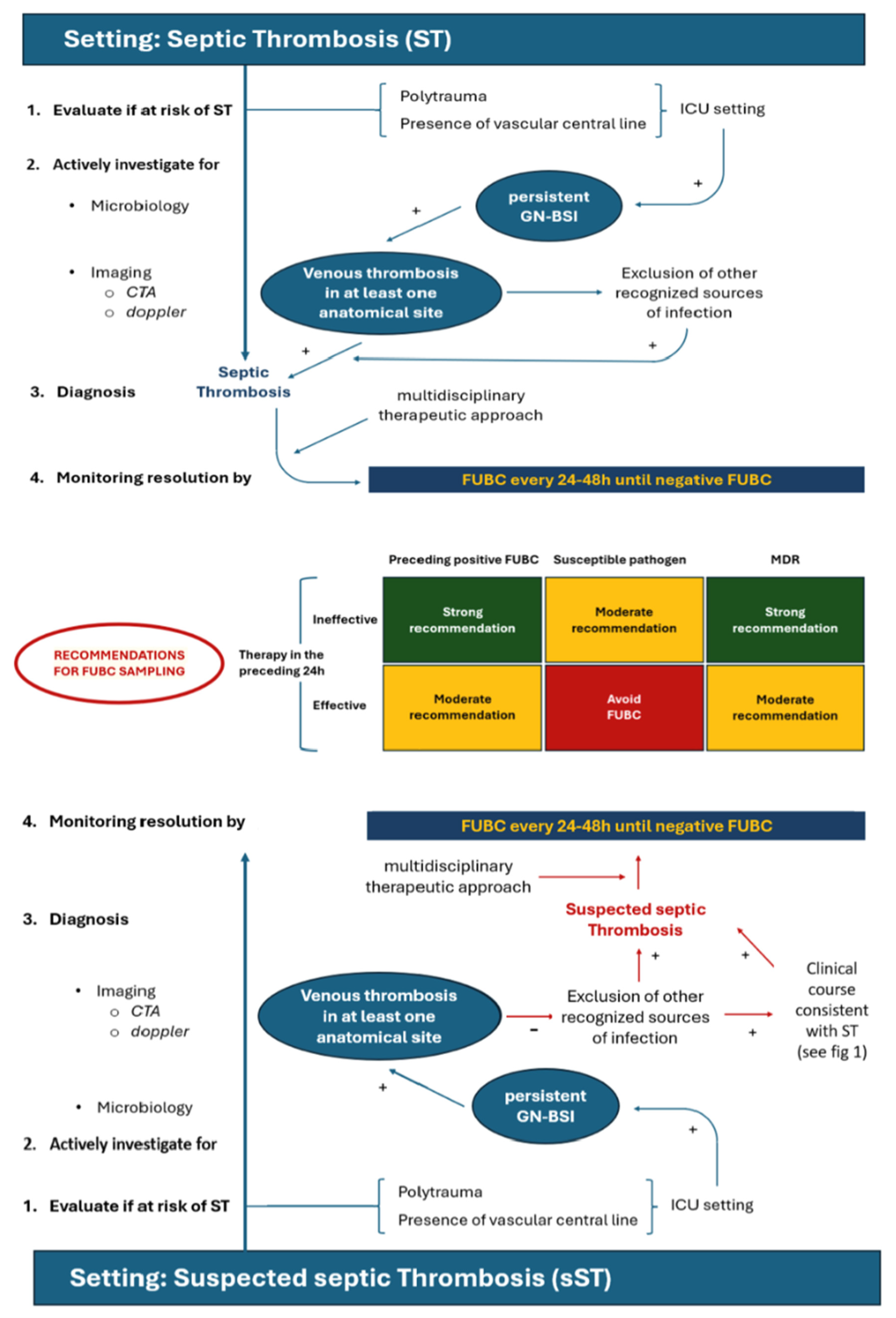 Pathogens 13 00529 g002